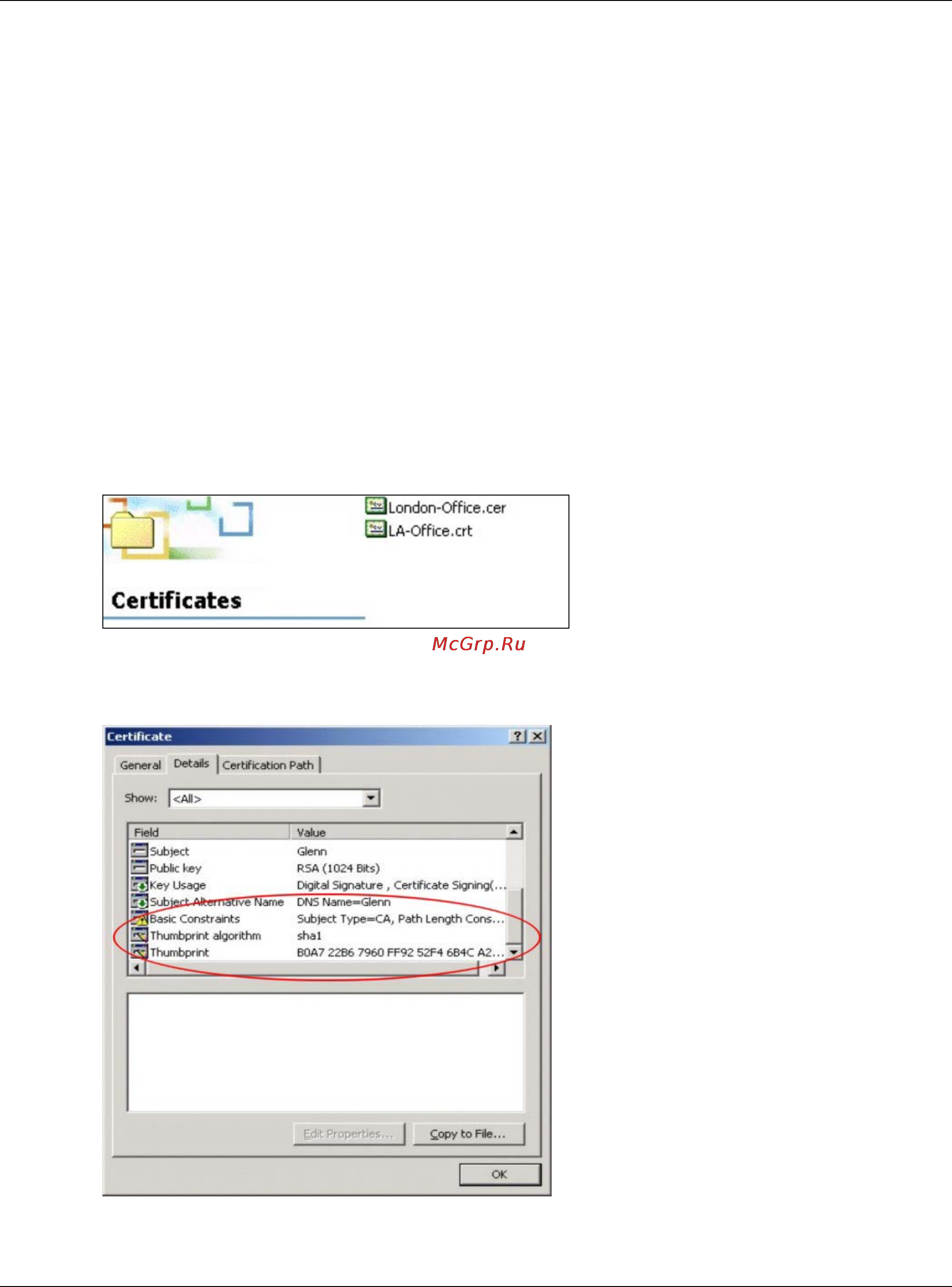 Zyxel UAG4100 [469/617] Verifying a certificate