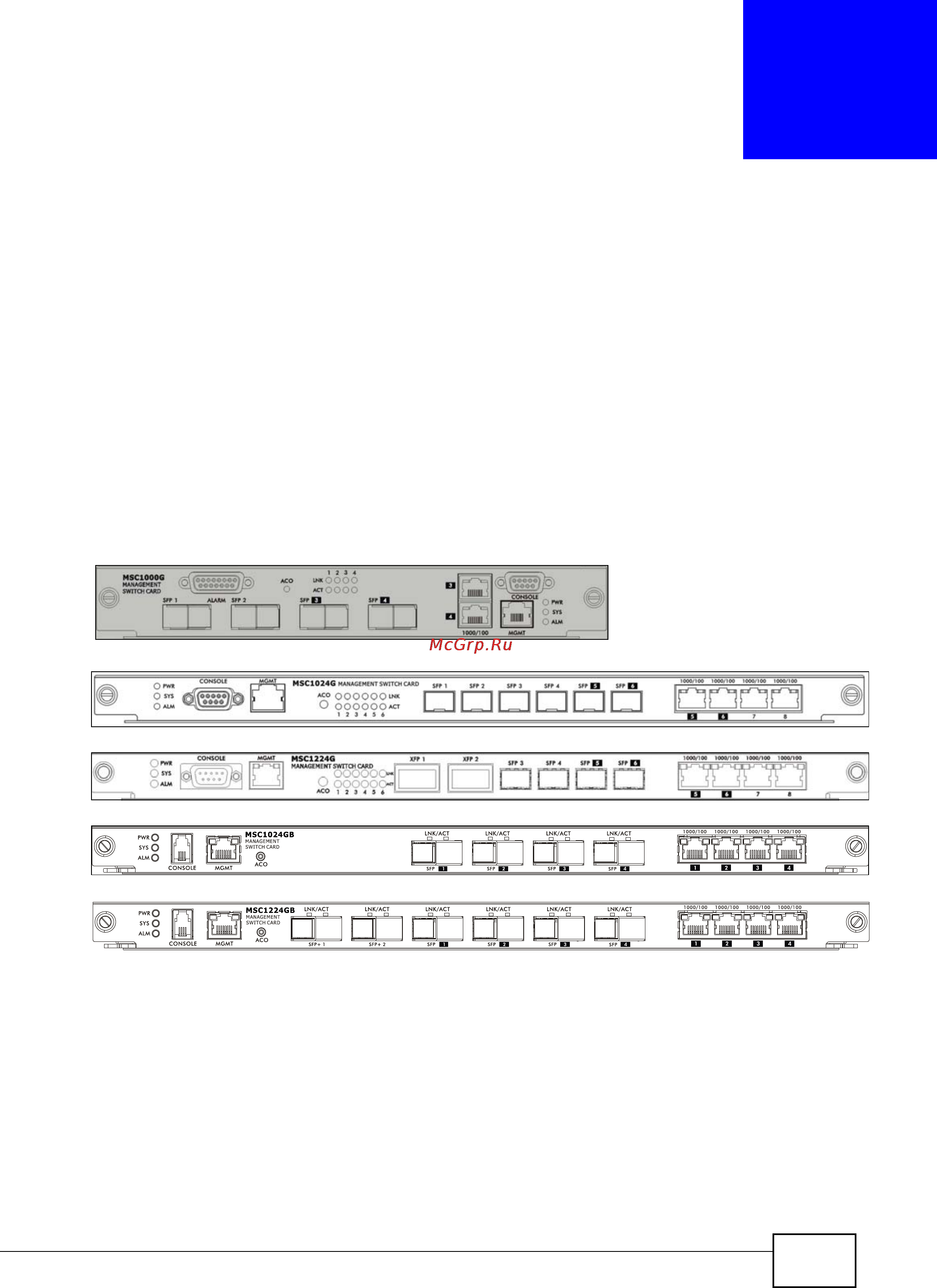 Zyxel IES-5106 [53/1156] Front panels