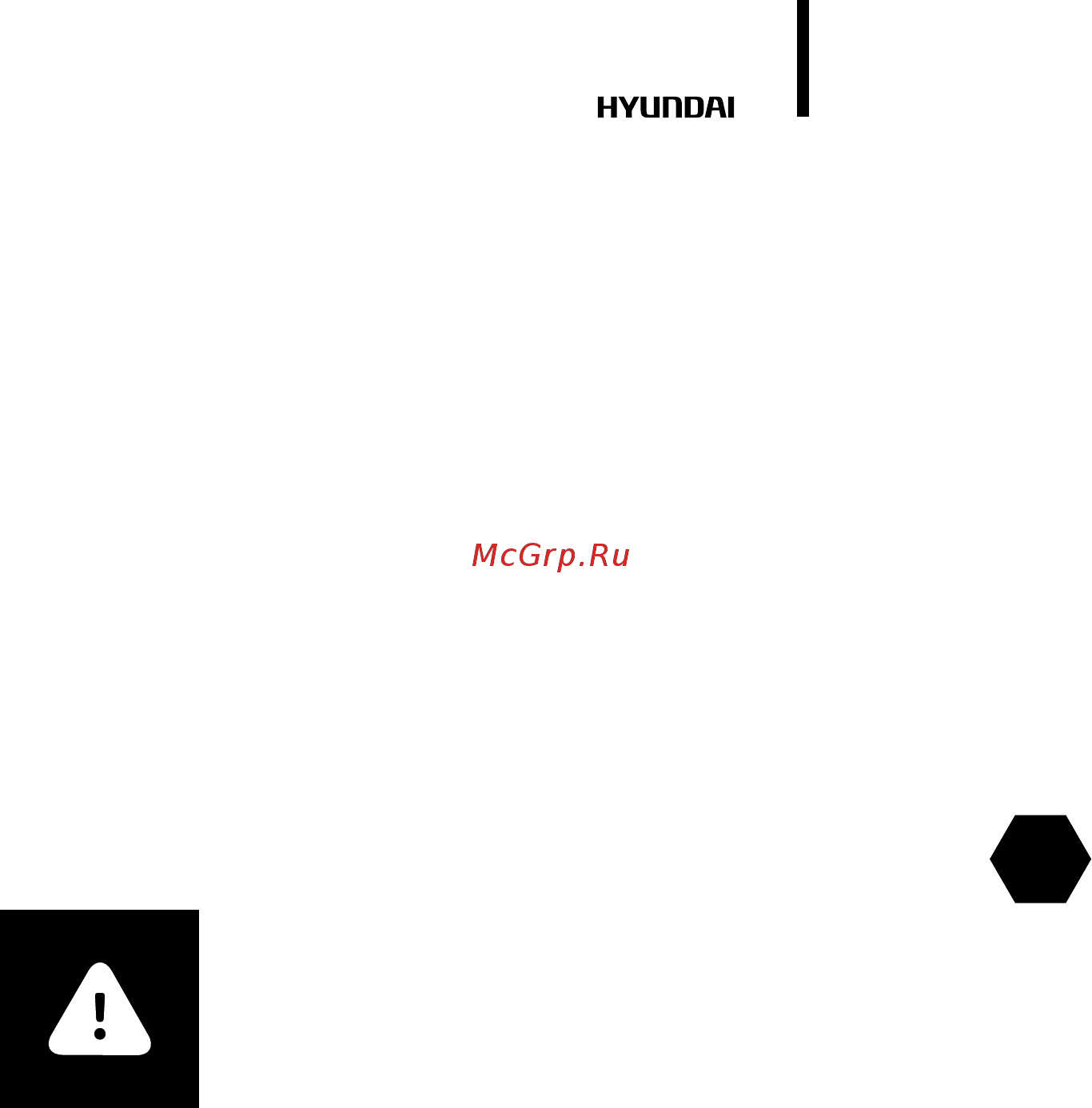 Hyundai Rainforest H-IWR1-3P-UI056/C [9/56] Caution