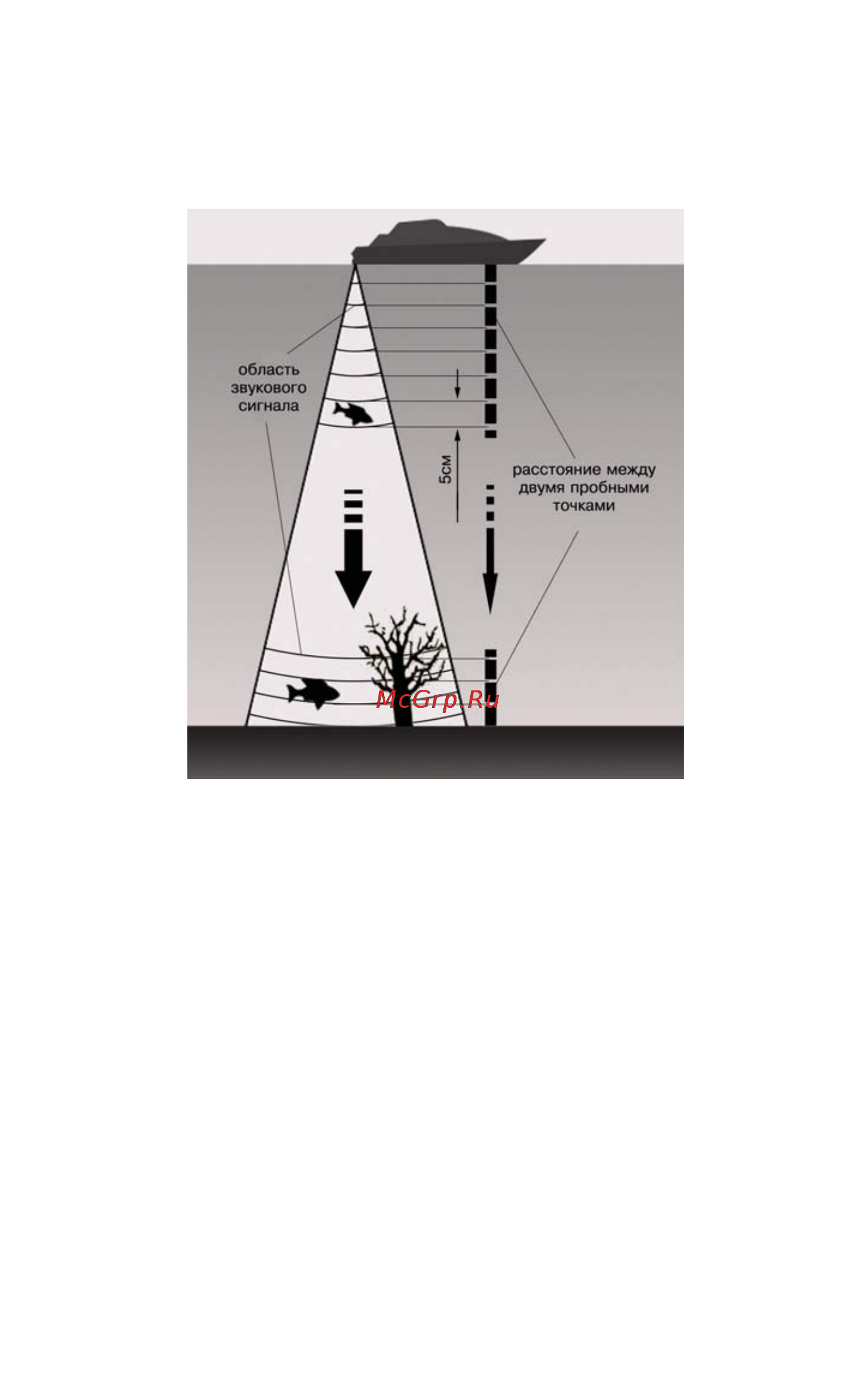 JJ-Connect fisherman 800c duo [4/40] Технология non skip detection