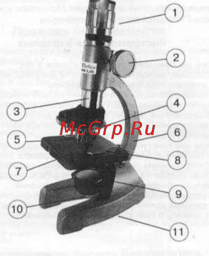 JJ-Optics naturelab [5/9] Устройство микроскопа