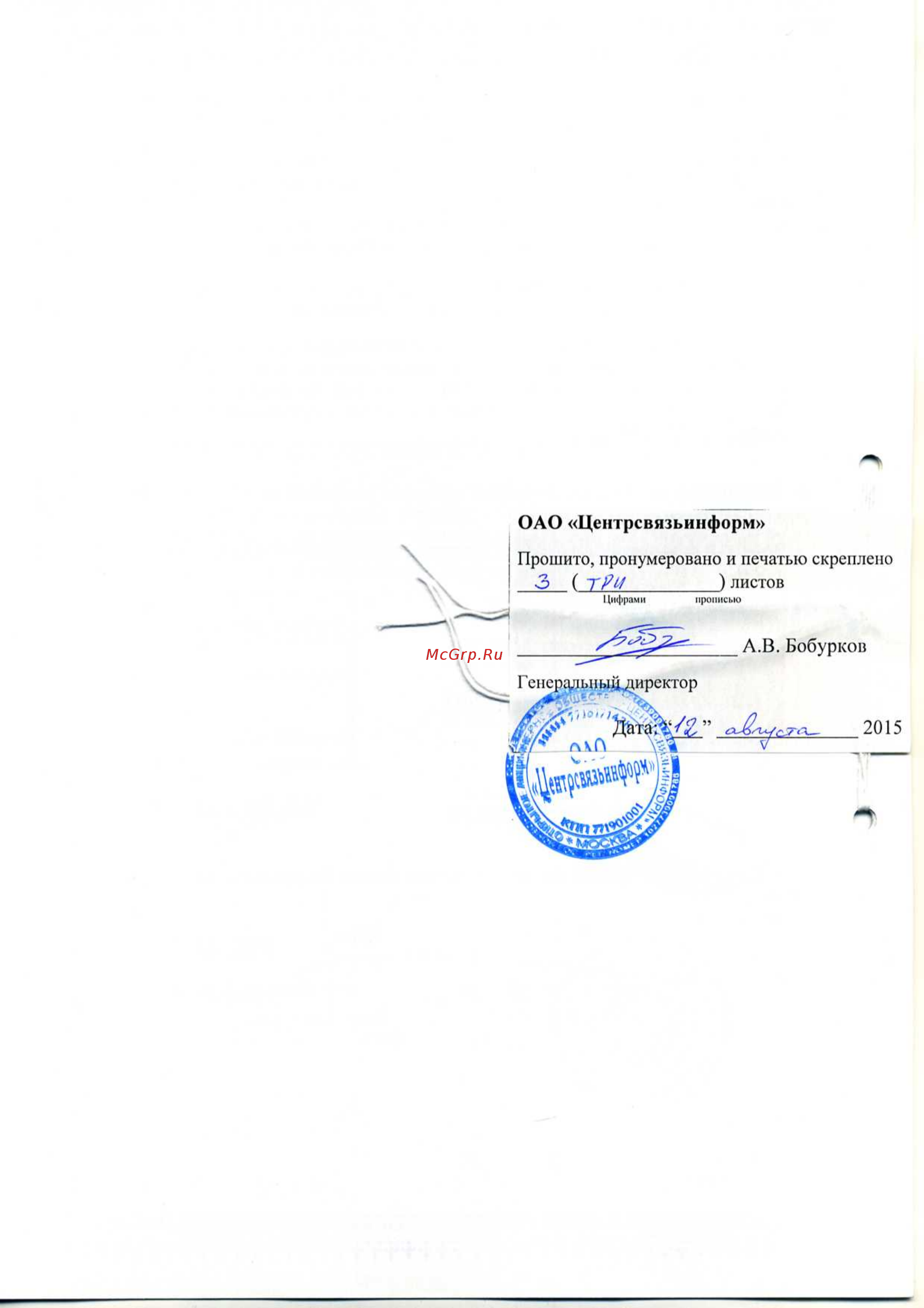 Платон БУ 1201 Декларация соответствия Правилам (Минсвязь) онлайн [4/4] 157142