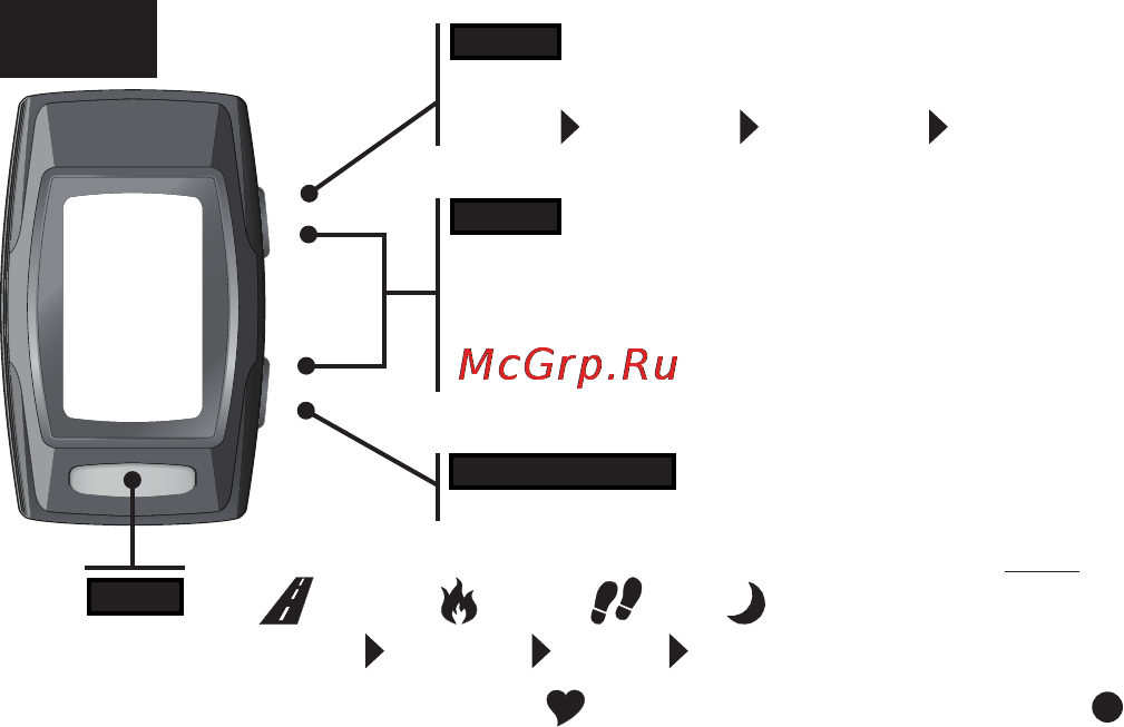 LifeTrak move c300 Инструкция по эксплуатации онлайн [3/20] 158410