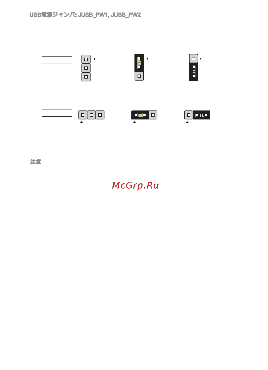 MSI 760GM-P23 (FX) Инструкция по эксплуатации онлайн [160/169] 159441