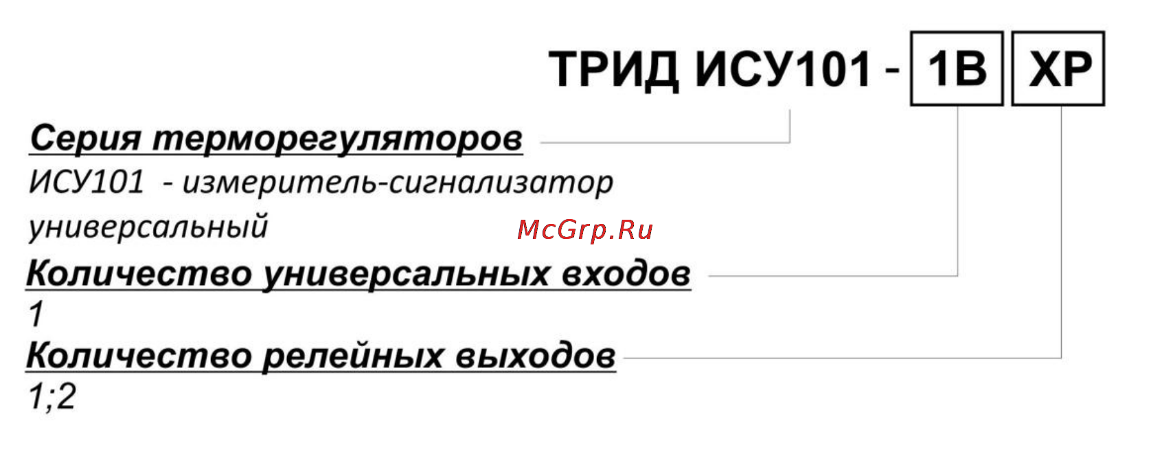ТРИД ИСУ 101-1В2Р [10/26] Маркировка и код заказа