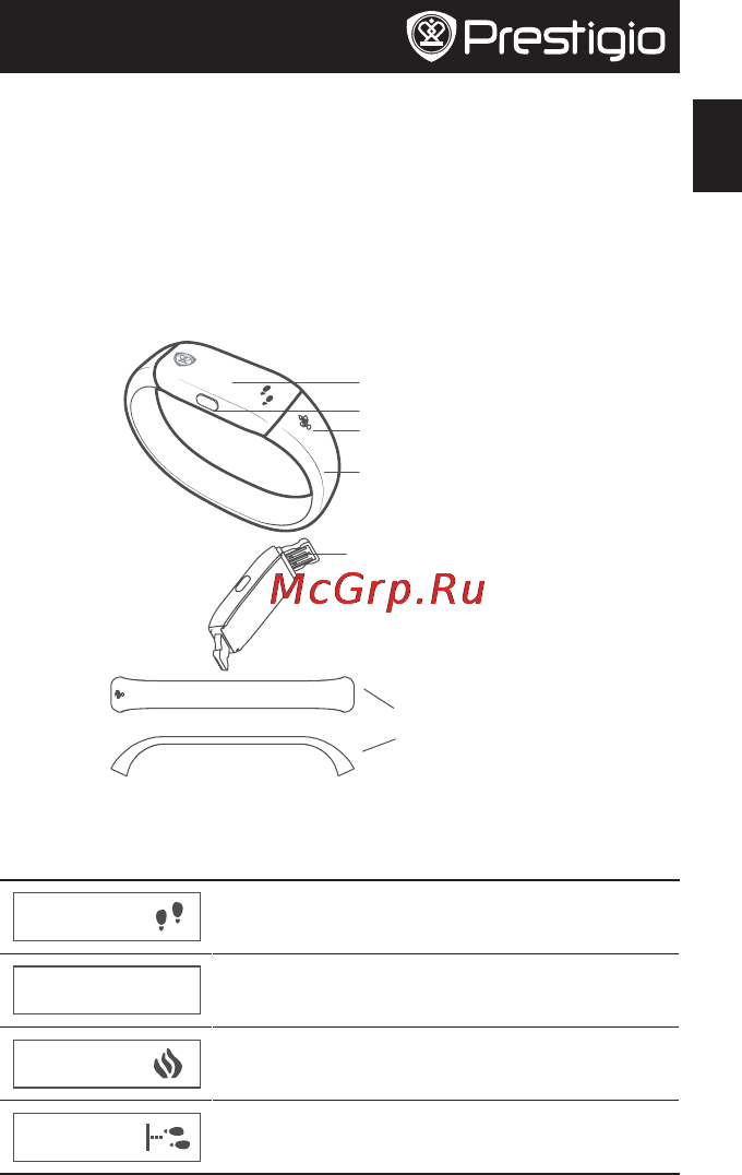 Prestigio phcped [11/115] Oled дисплей