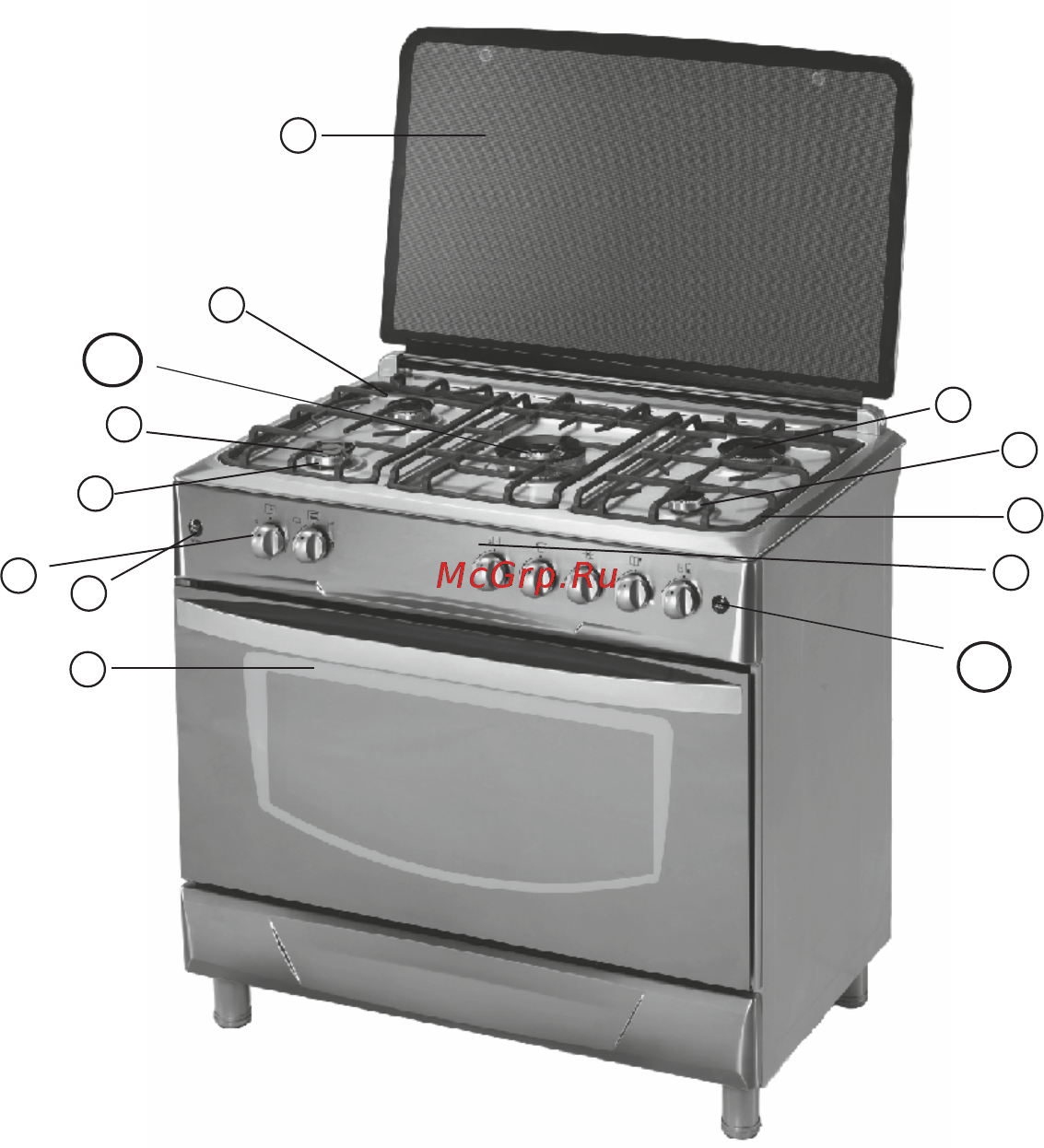Ricci RGC9000 WH [6/17] Устройство плиты