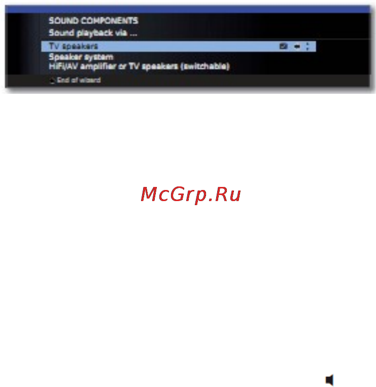 Loewe Xelos 50422W80 Black [111/150] Воспроизведение звука в телевизорах без встроенного цифрового декодера многоканального аудио