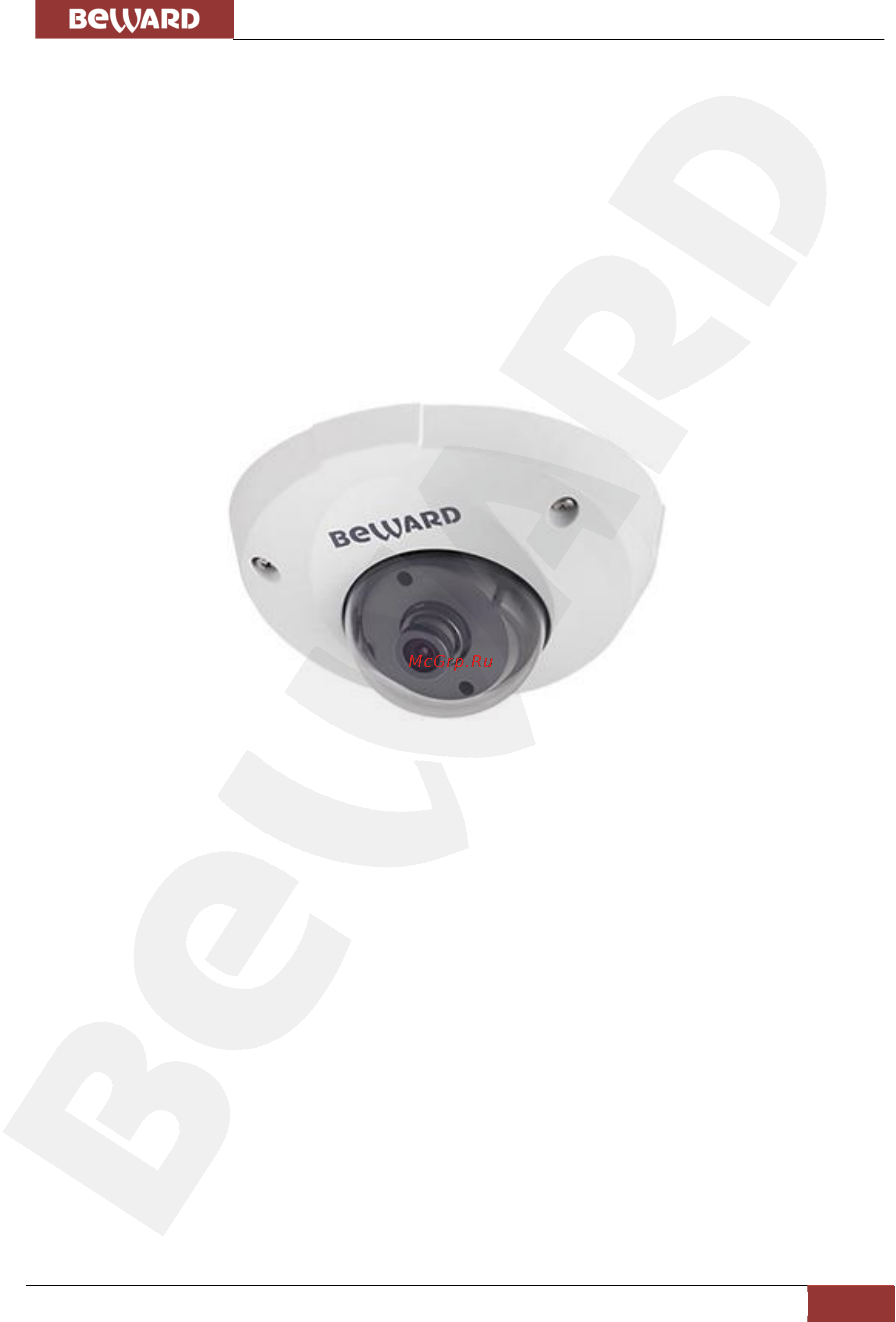 BEWARD B2710DM [5/74] Общие сведения об ip видеокамере beward b2710dm