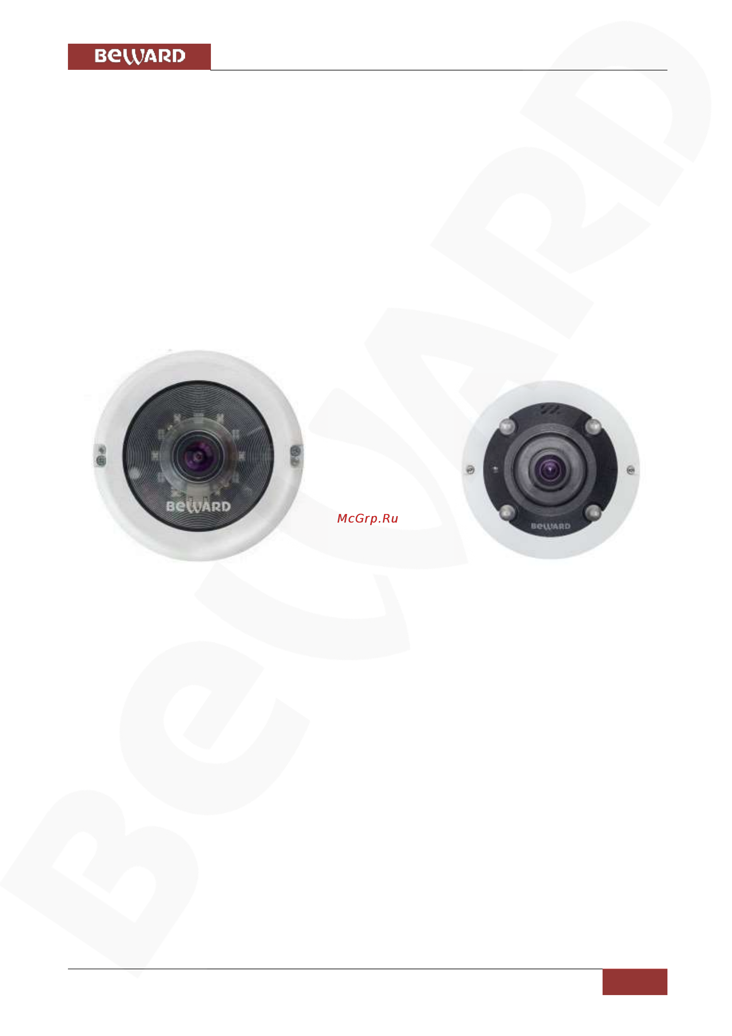 BEWARD BD3990FL2 [5/108] Глава 2 общие сведения