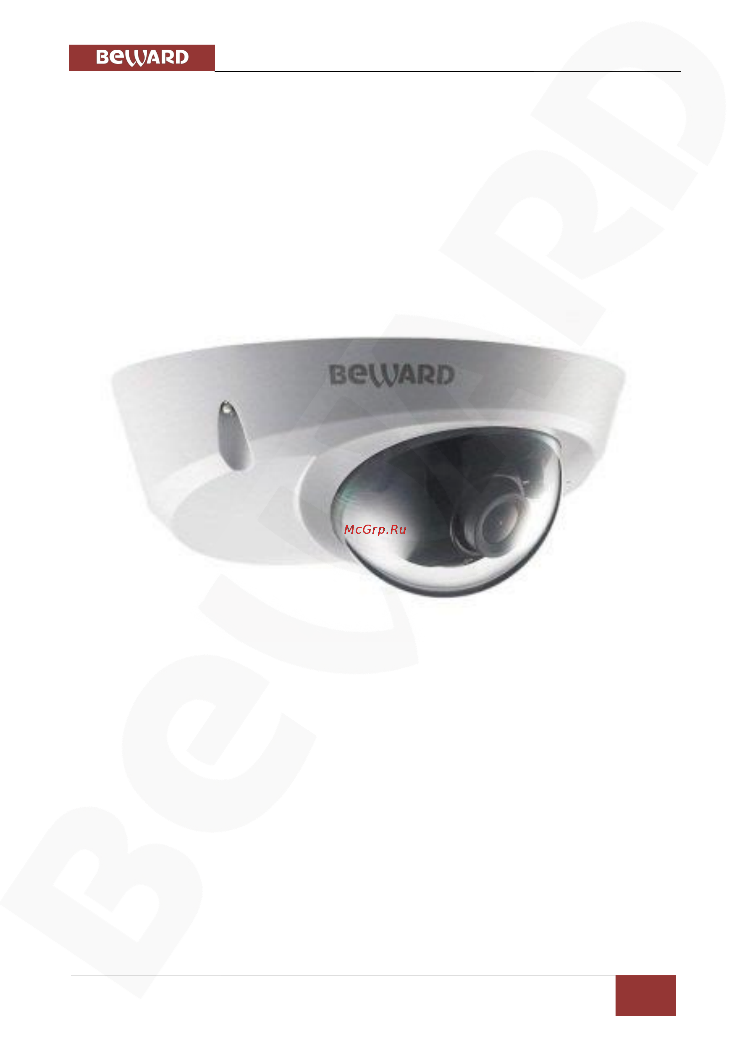 BEWARD BD4330DM [6/112] Глава 2 общие сведения