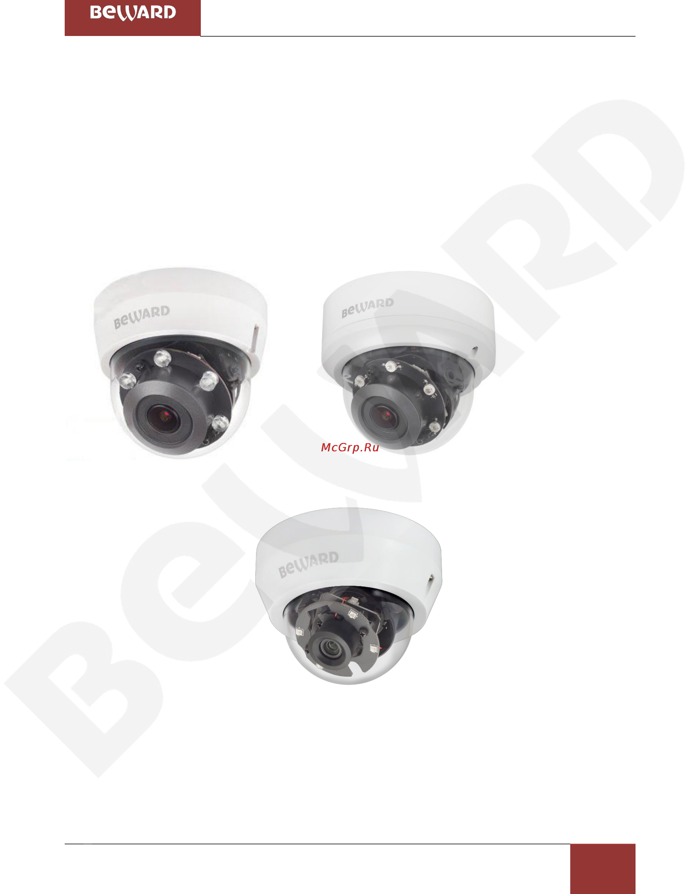 BEWARD BD4680DVZ [4/150] Введение