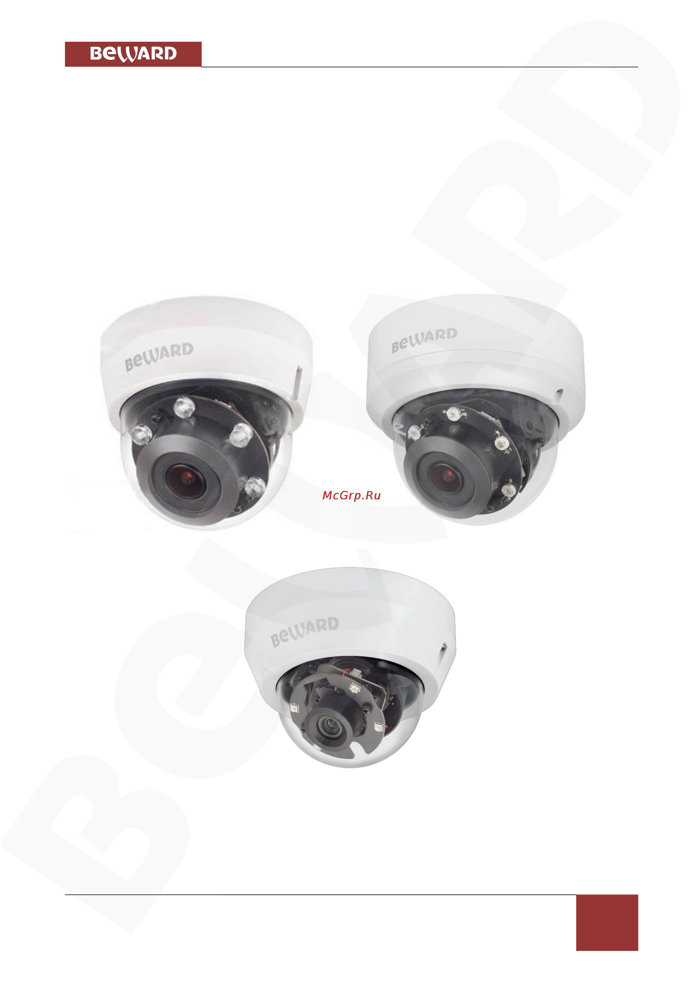 BEWARD BD4640DR [5/109] Глава 2 общие сведения