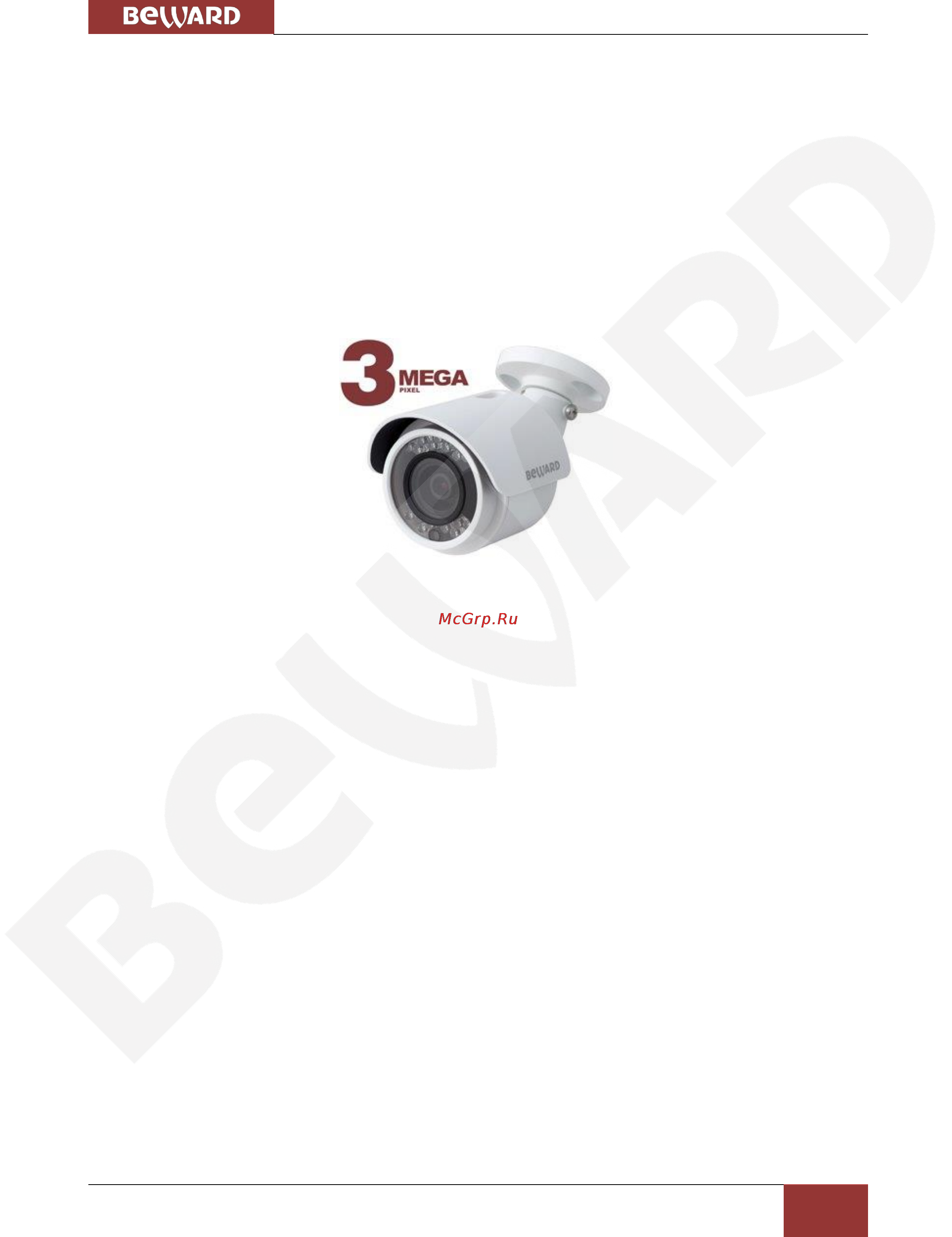 BEWARD BD4640RC [6/115] Глава 2 общие сведения
