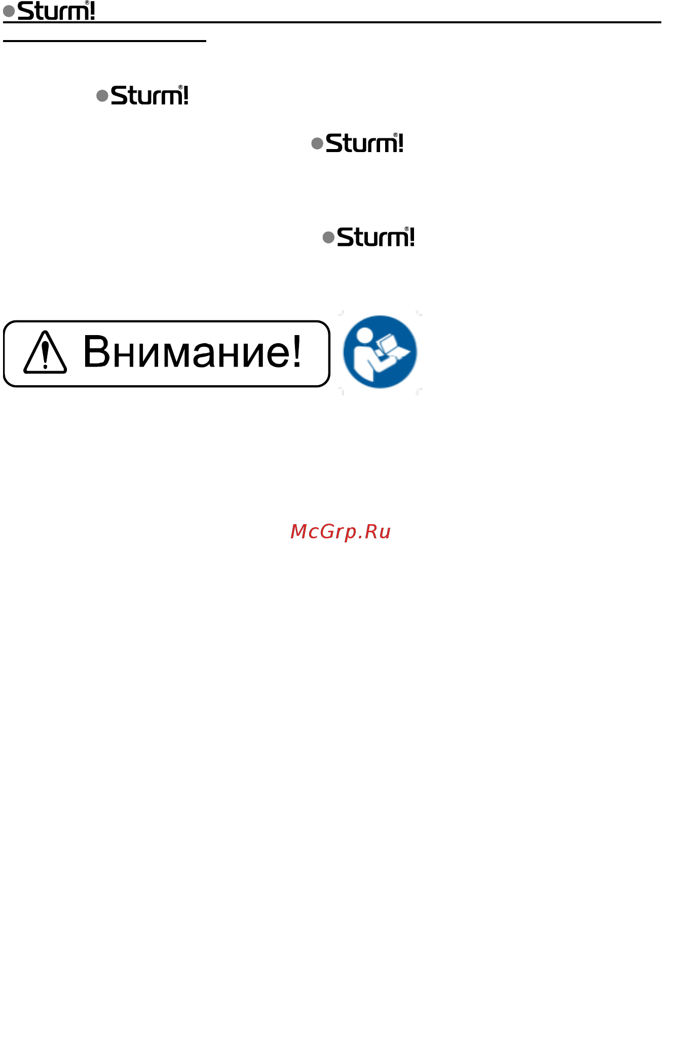 Sturm BT9133BL [3/19] Правила по технике безопасности