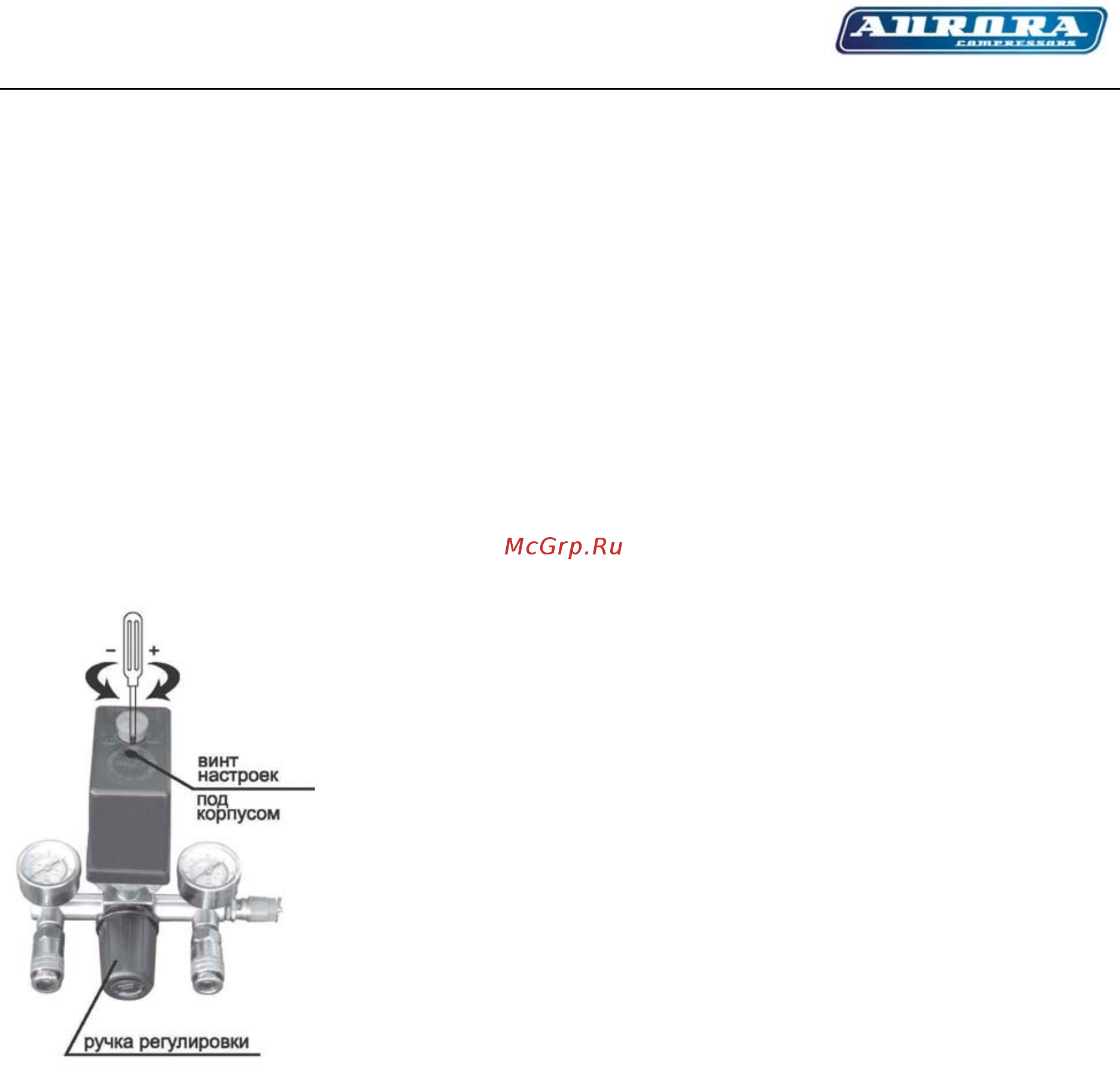 Aurora CYCLON 100 [4/10] Воздушный компрессор cyclon 50 100
