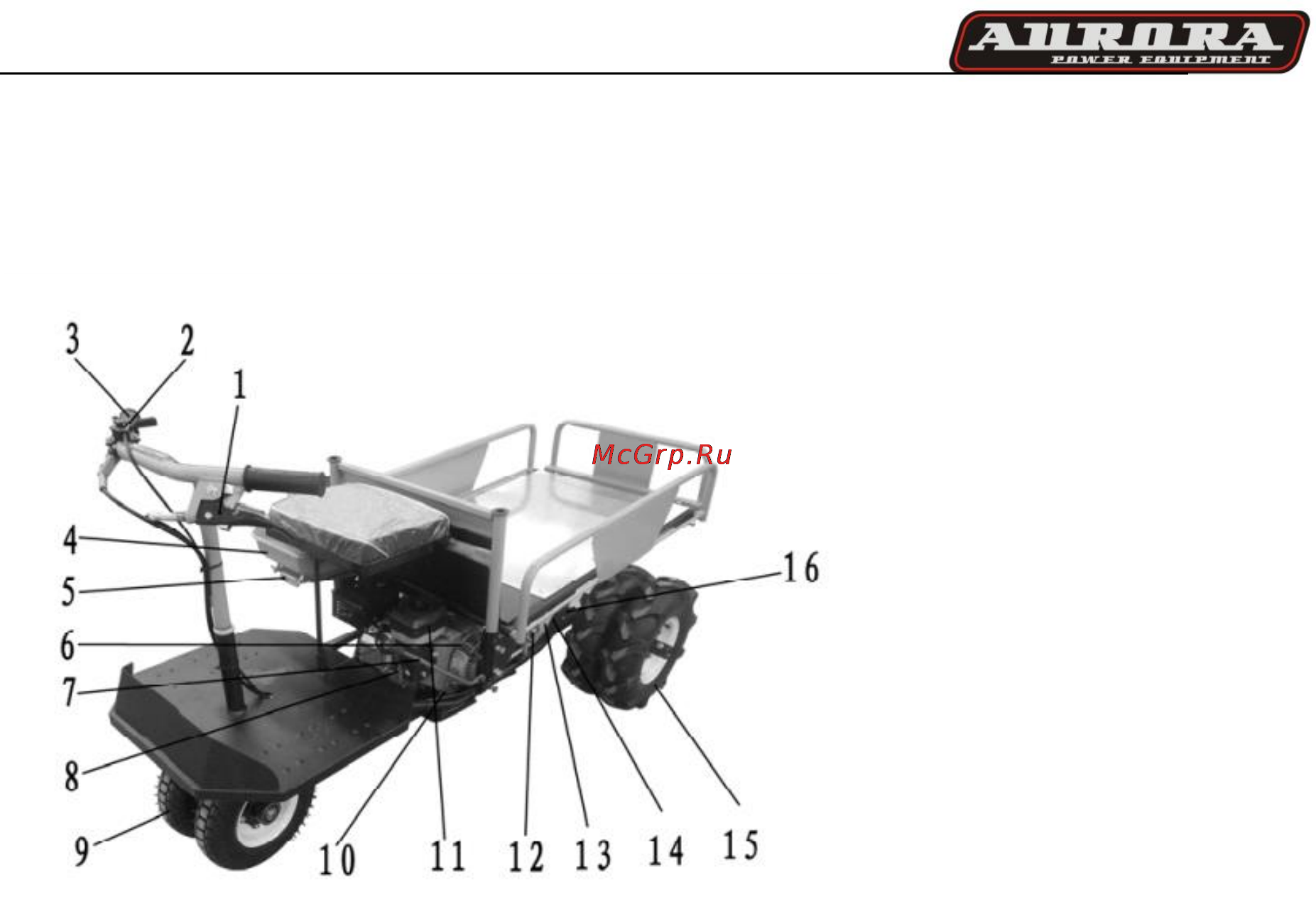 Aurora TRANSPORTER 333 Инструкция по эксплуатации онлайн [9/15] 166160
