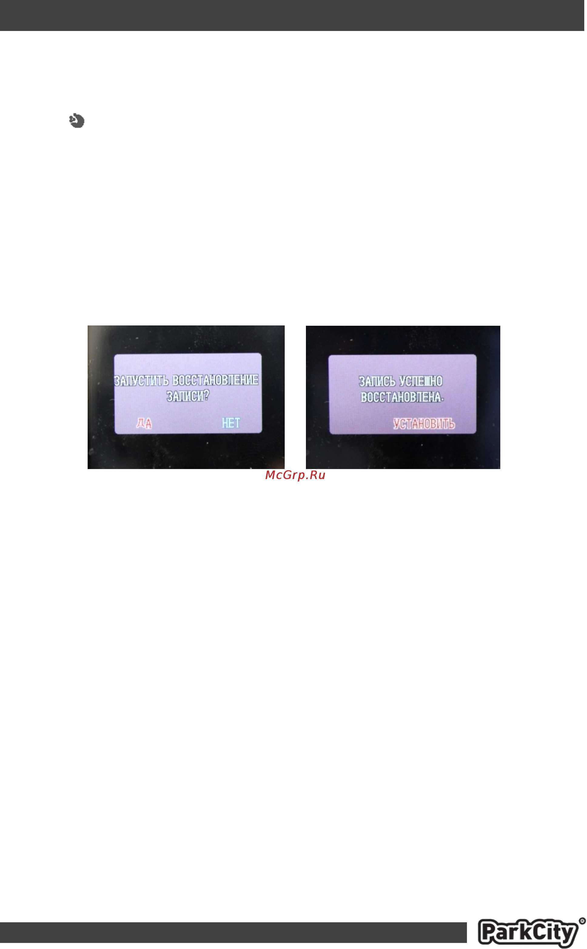 Parkcity DVR HD 540 [17/19] Страница 17