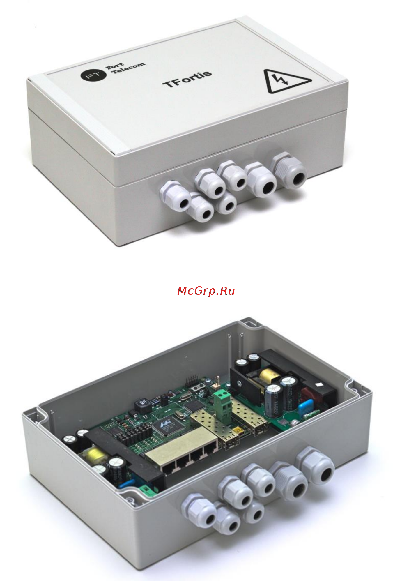TFortis PSW-2G4F-UPS [6/33] Описание