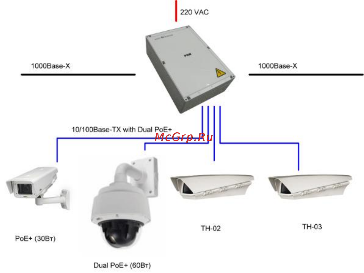 TFortis PSW-2G2F+UPS [4/21] Назначение