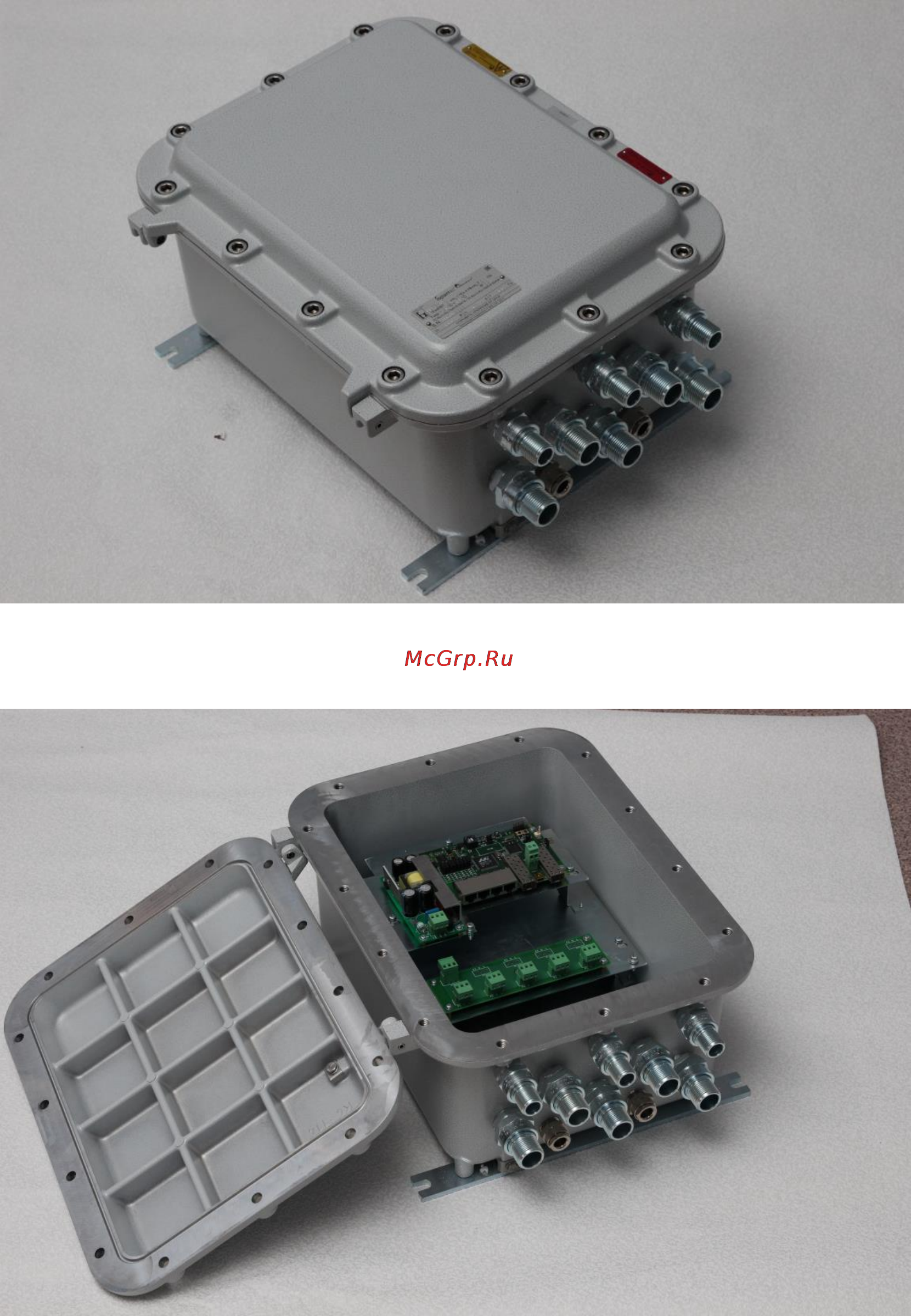 TFortis PSW-2G4F-Ex [5/21] Описание