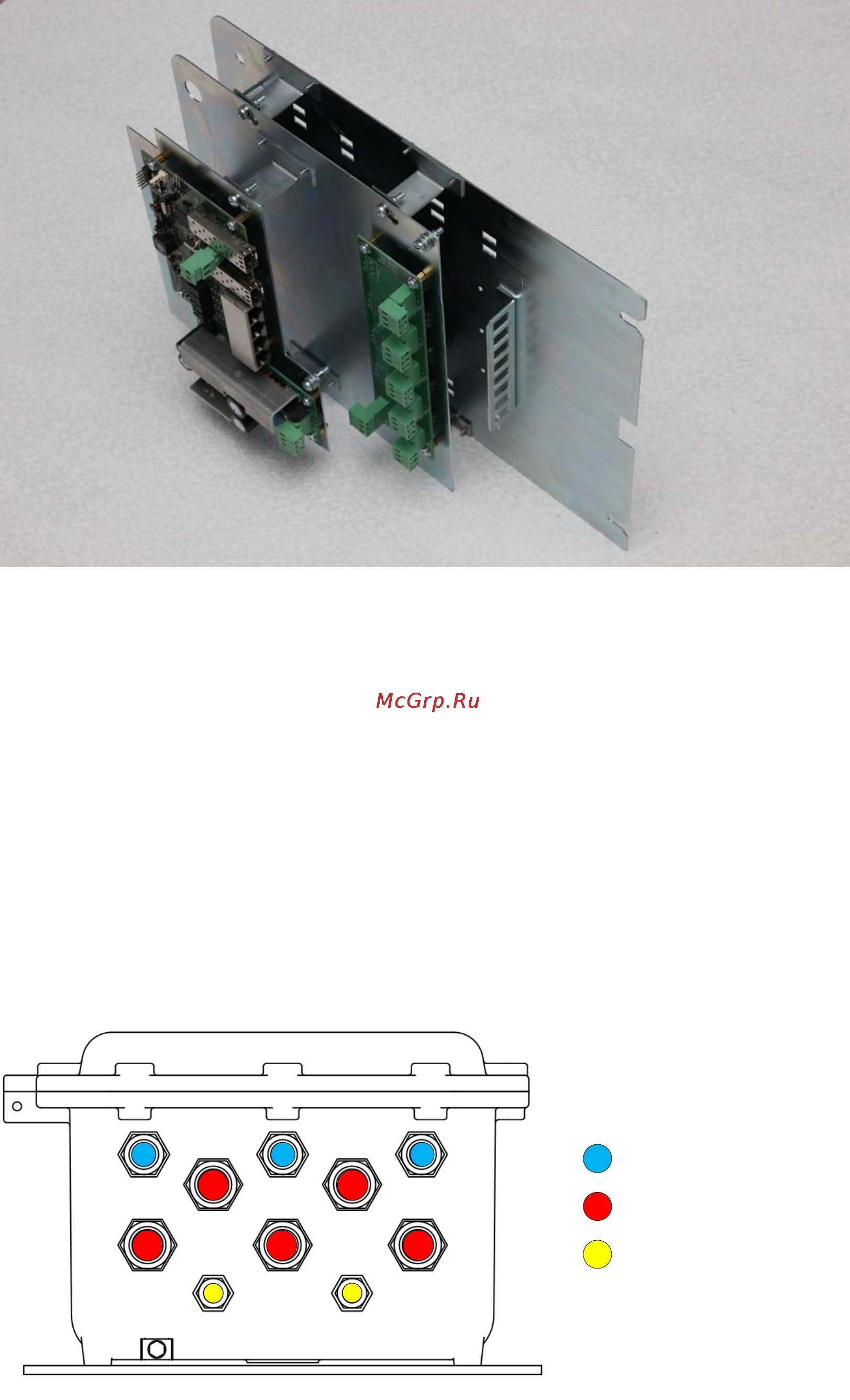 TFortis PSW-2G4F-Ex [6/21] Конструкция блока