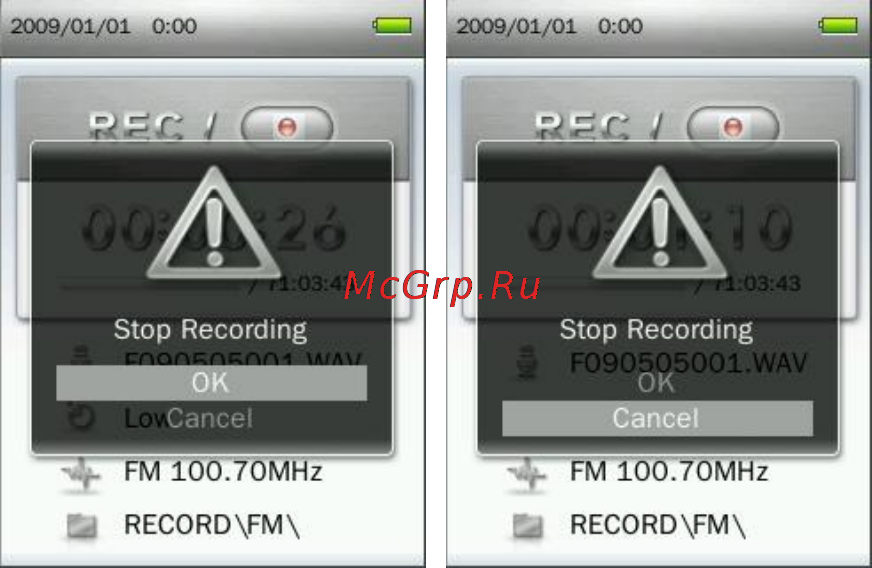 Transcend t.sonic 870 8gb черный Инструкция по эксплуатации онлайн [39/77] 166640