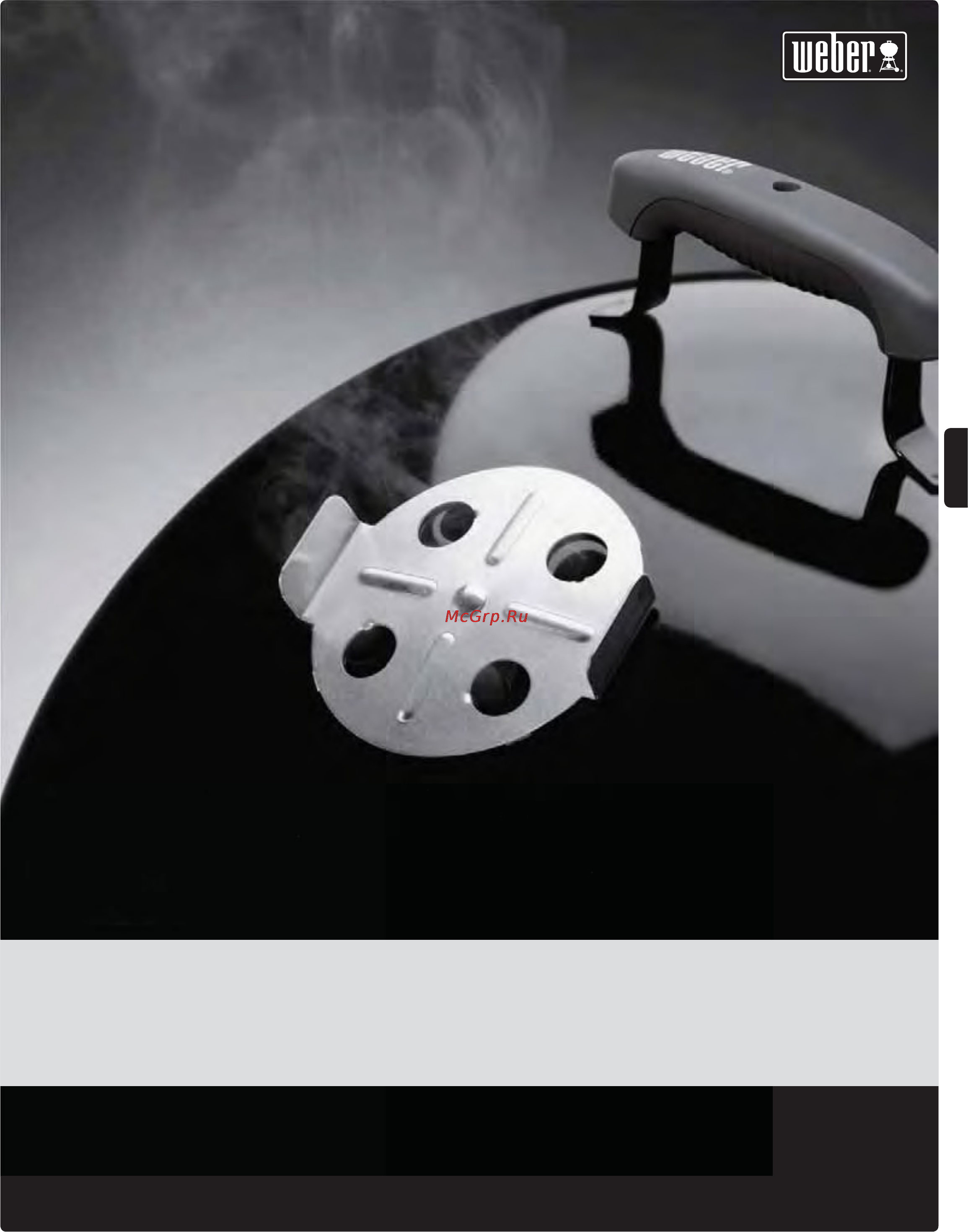 Weber smokey mountain cooker 721004, 47см [43/140] Savustin