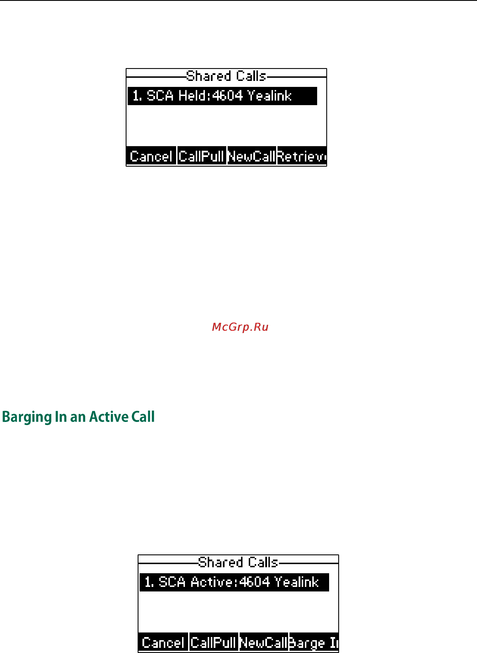 Yealink SIP-T23G [144/172] Barging in an active call
