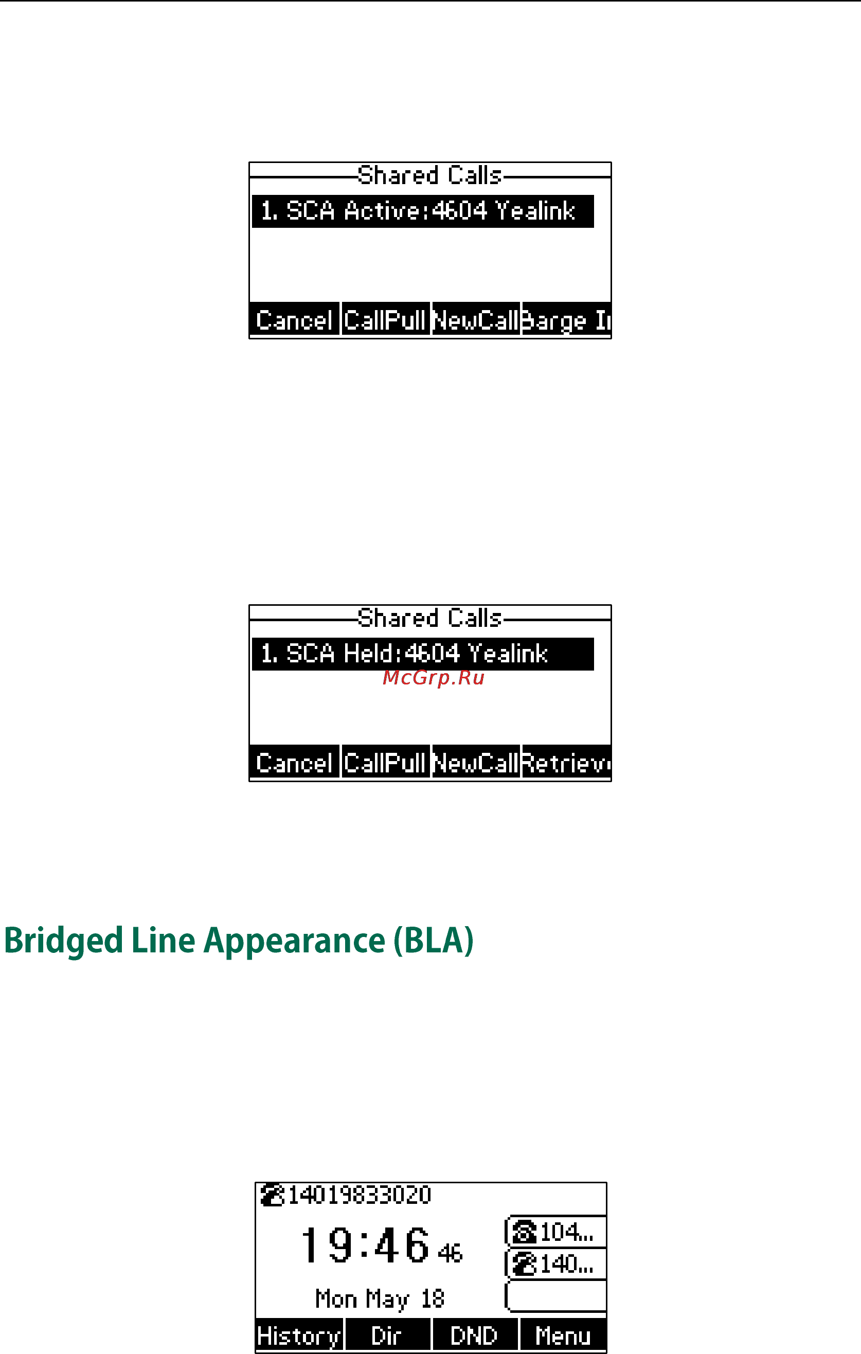 Yealink SIP-T23P [146/172] Bridged line appearance bla