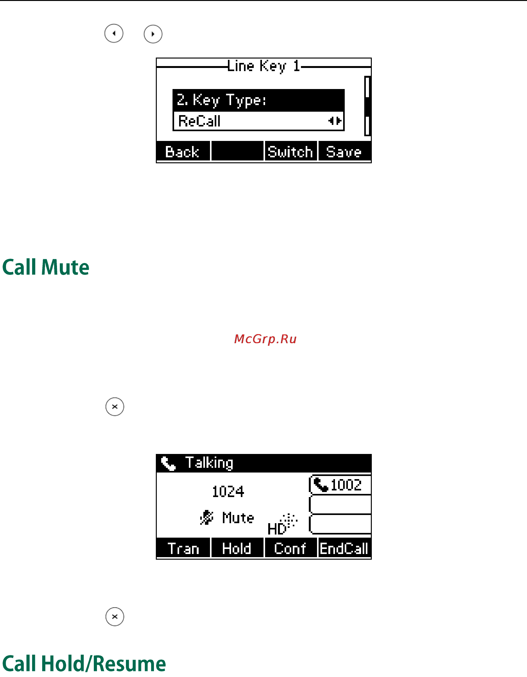 Yealink SIP-T23G [90/172] Call mute