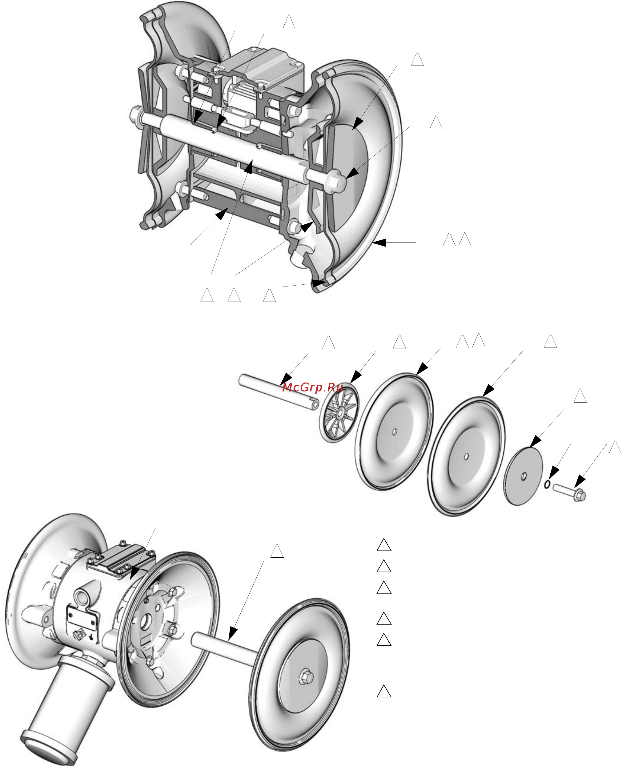 Graco SaniForce 1040 [21/54] Вид в разрезе с мембранами