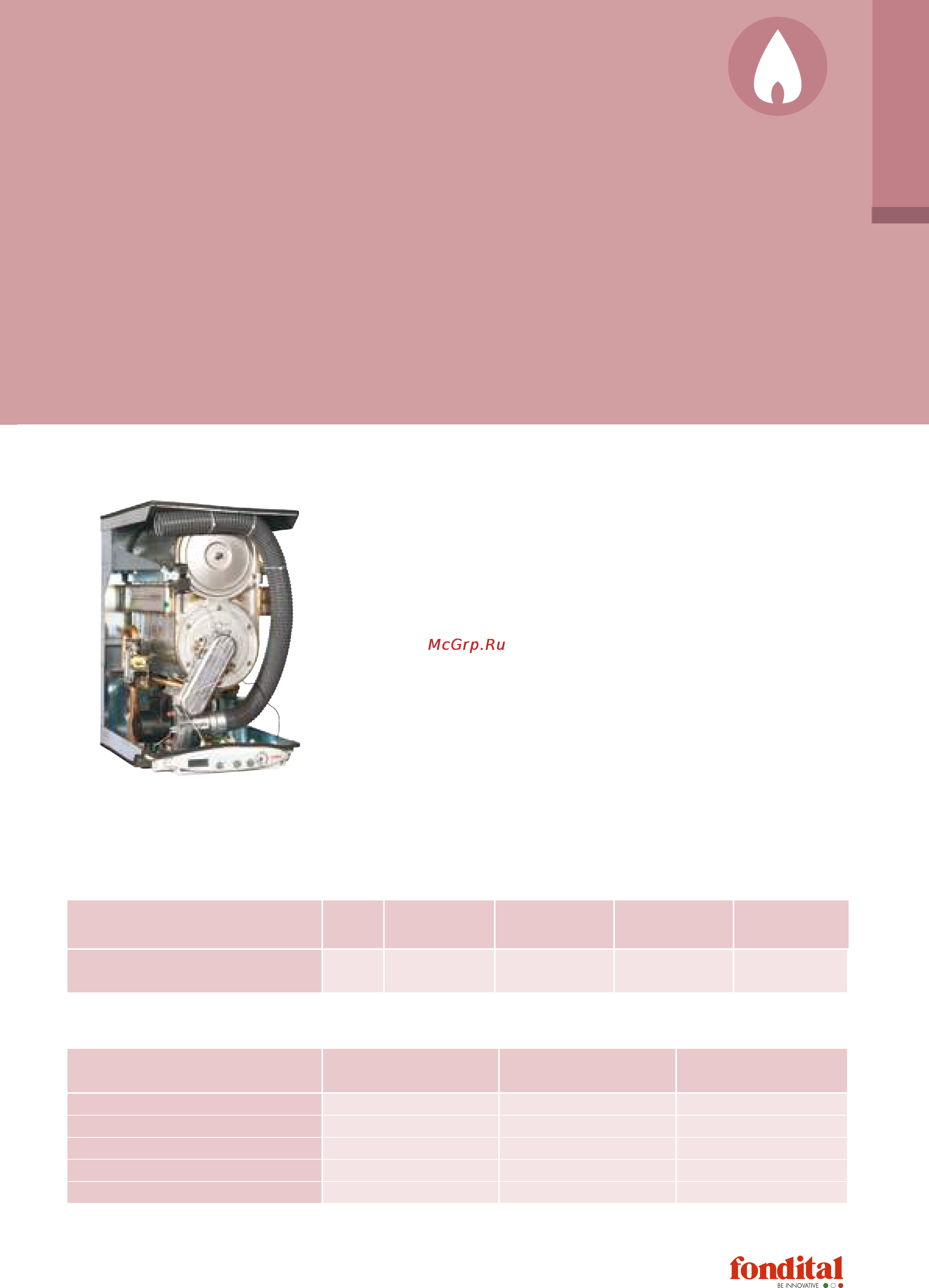 Fondital RODI DUAL 90 [7/29] Настенный конденсационный котел большой мощности
