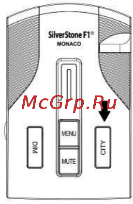 SilverStone F1 Monaco Руководство пользователя онлайн [17/30] 168979