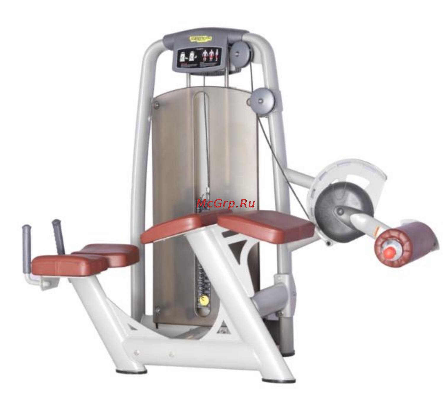 Bronze Gym A9-013A Сгибание ног лежа Руководство пользователя онлайн