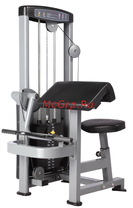 Bronze Gym D-006 Бицепс-машина [4/14] Notice