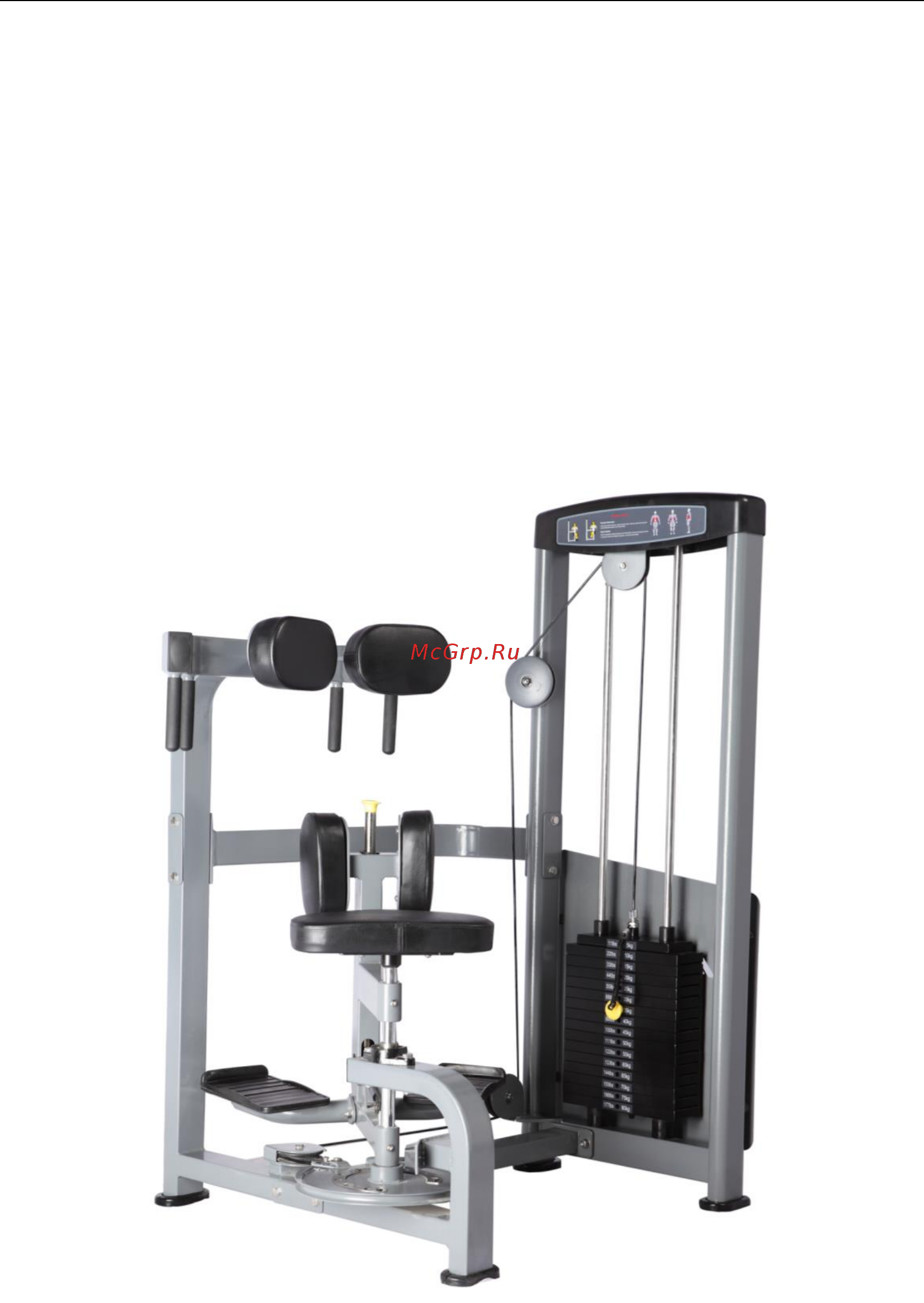 Bronze Gym D-011 Торс-машина Руководство пользователя онлайн