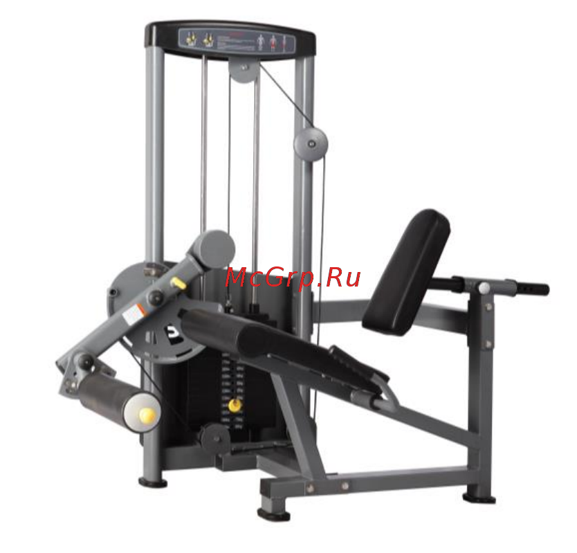 Bronze Gym D-014 [4/14] Notice