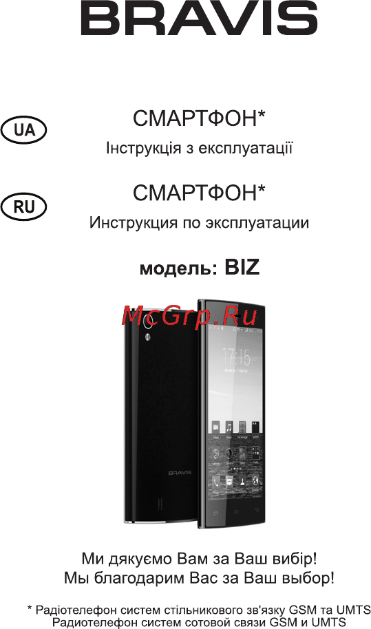 Bravis BIZ Инструкция по эксплуатации онлайн