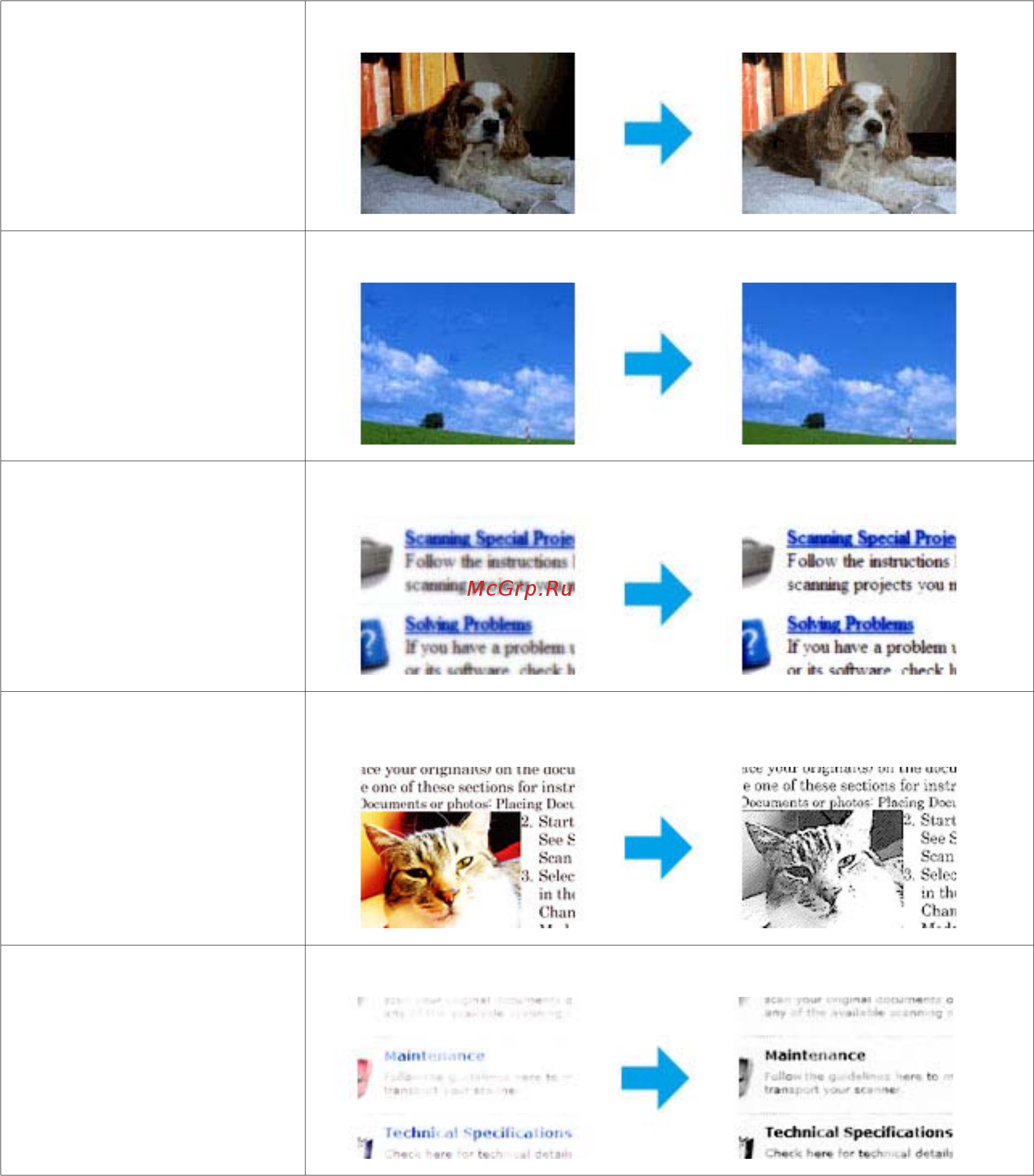 Epson Expression Home XP-313 [61/175] Сканирование