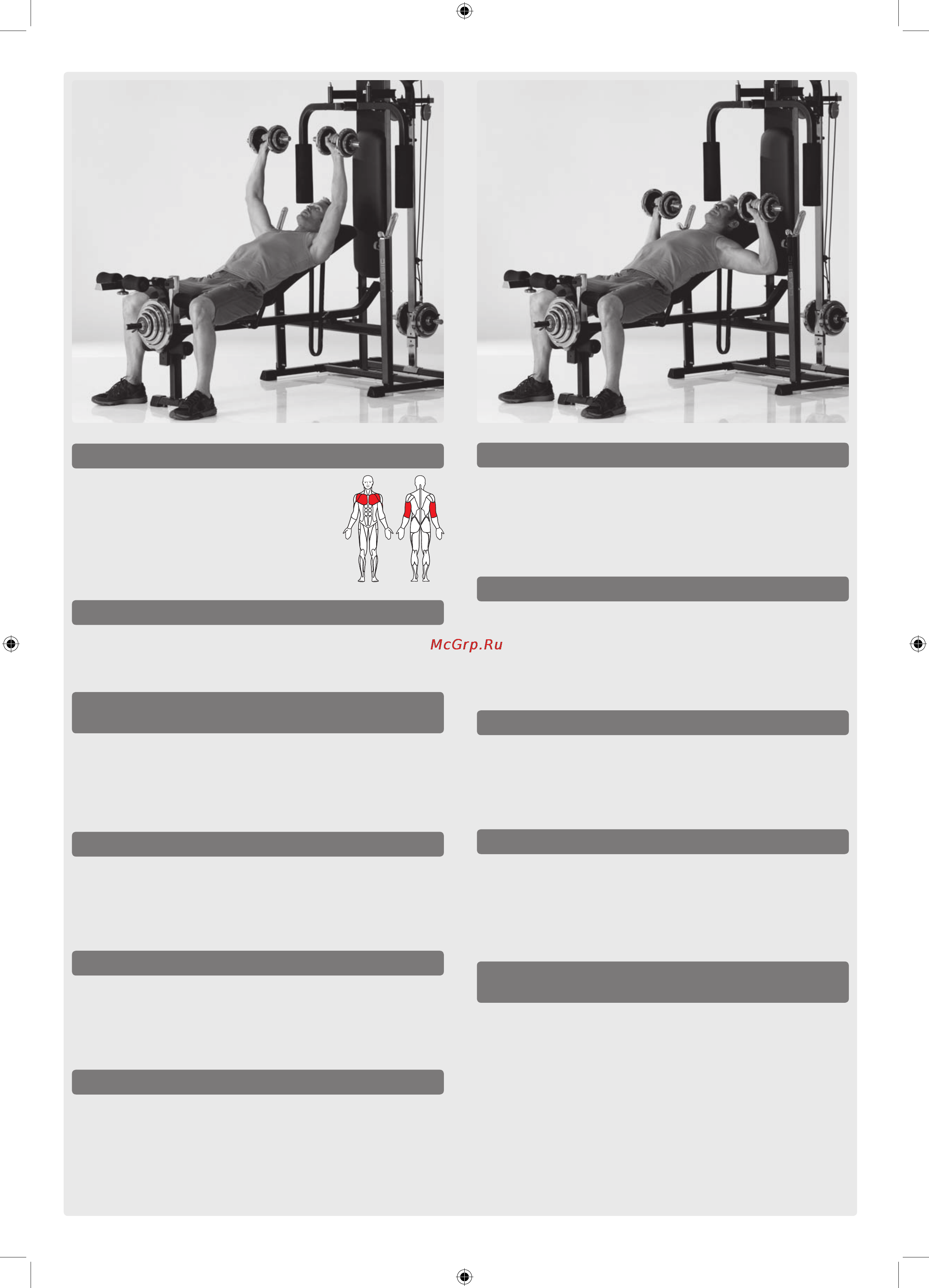 Kettler Classic [5/26] Gb 3 incline bench press with dumbbells