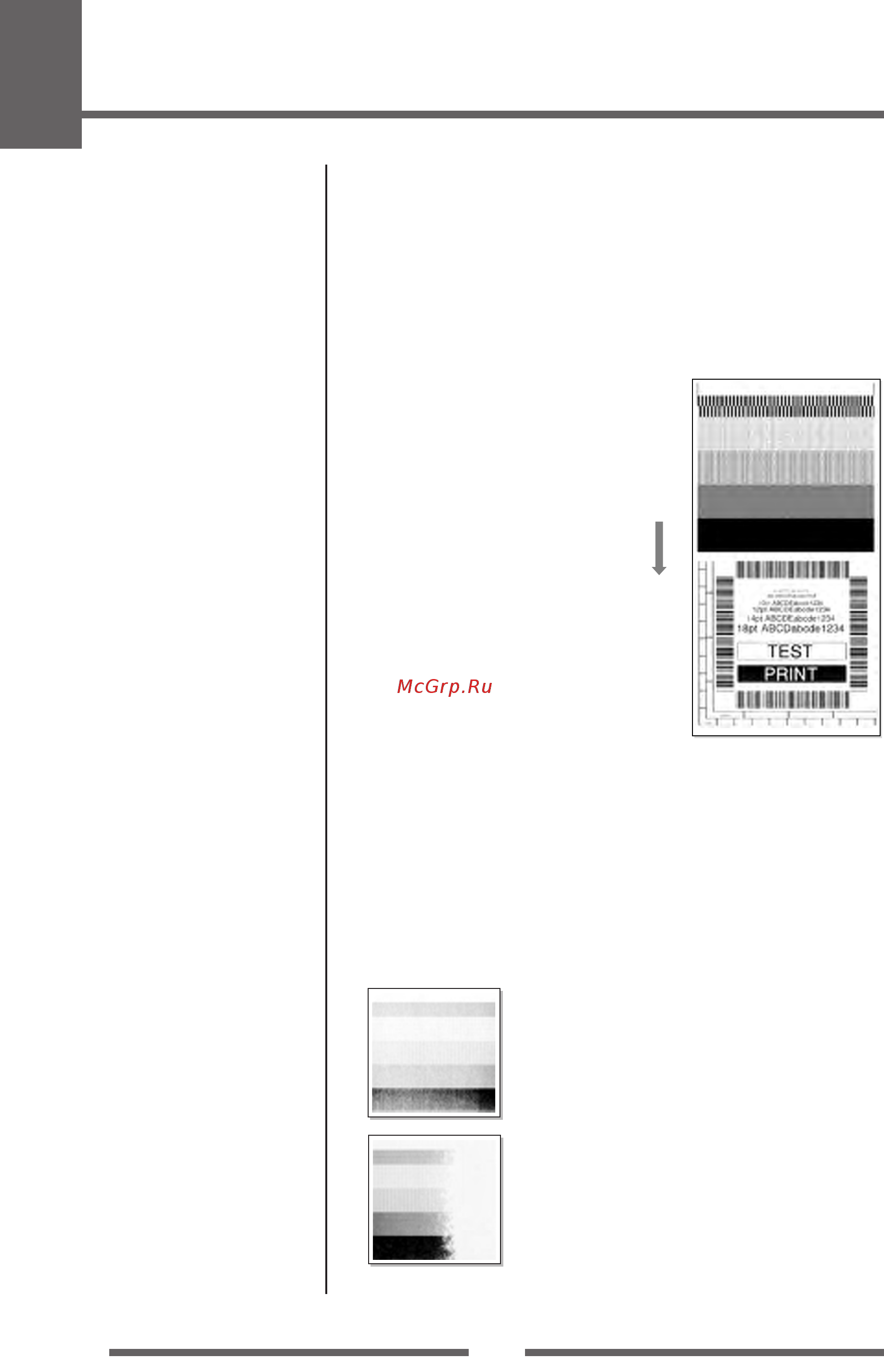 Citizen CL-S700 [36/80] Self print mode