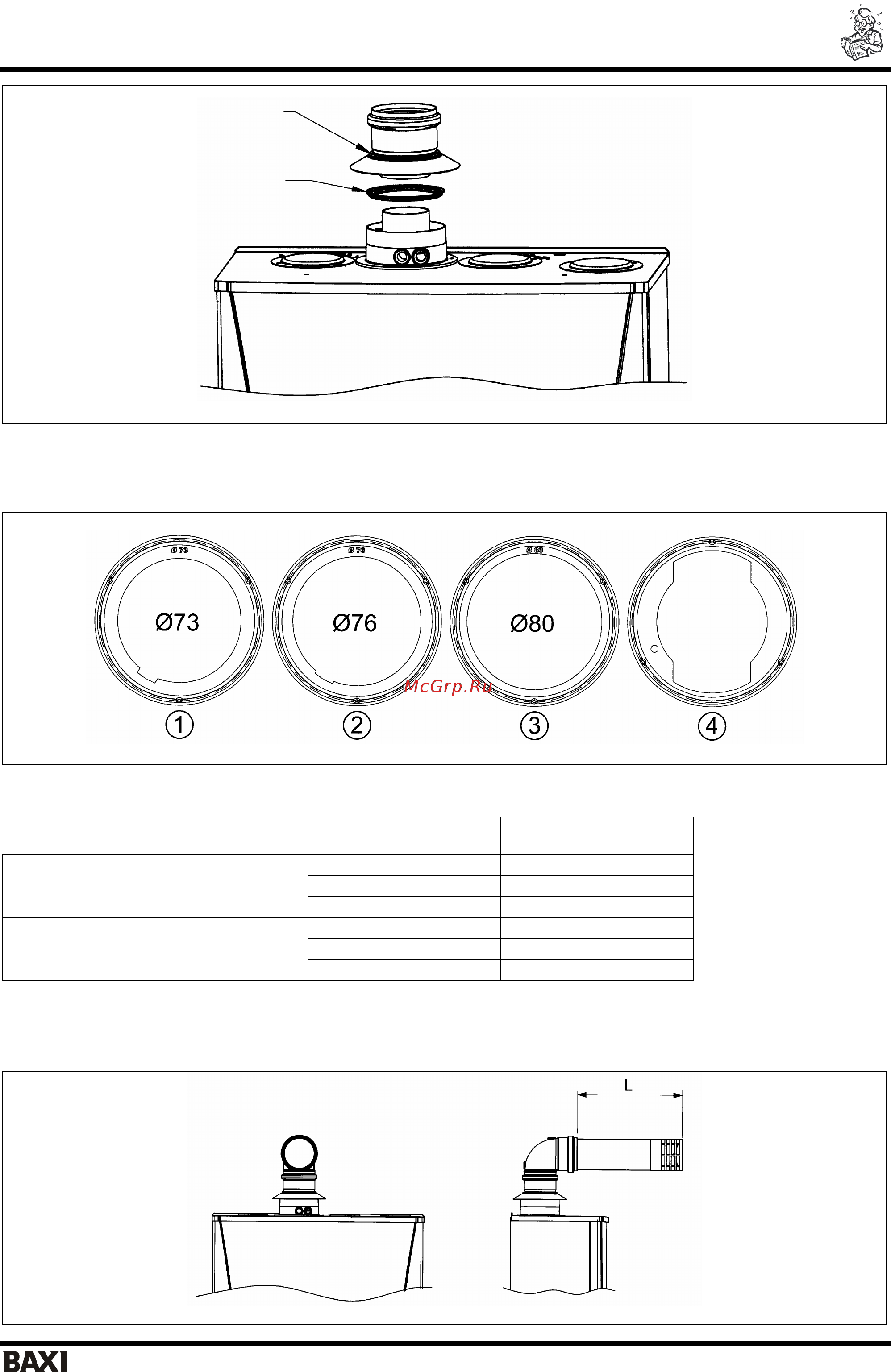 Baxi LUNA-3 SILVER SPACE [25/40] Варианты установки дымоотводящей системы с аксессуаром в22