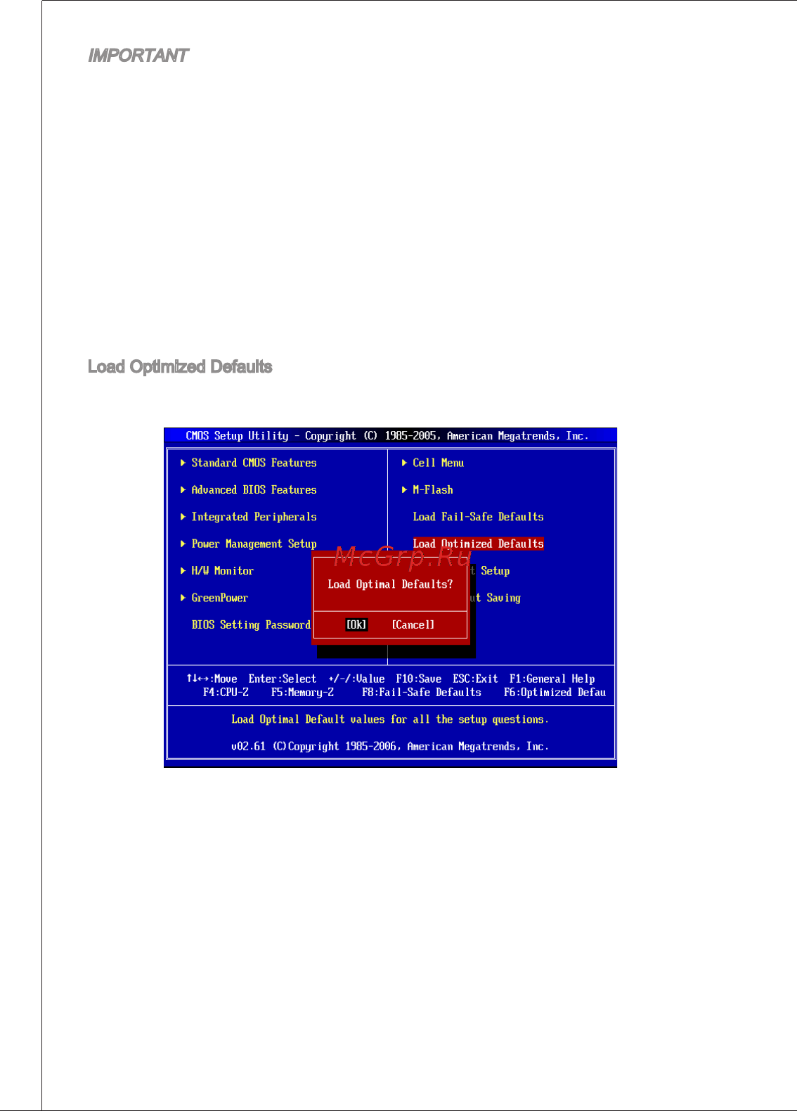 MSI G41M-E43 [62/155] Important