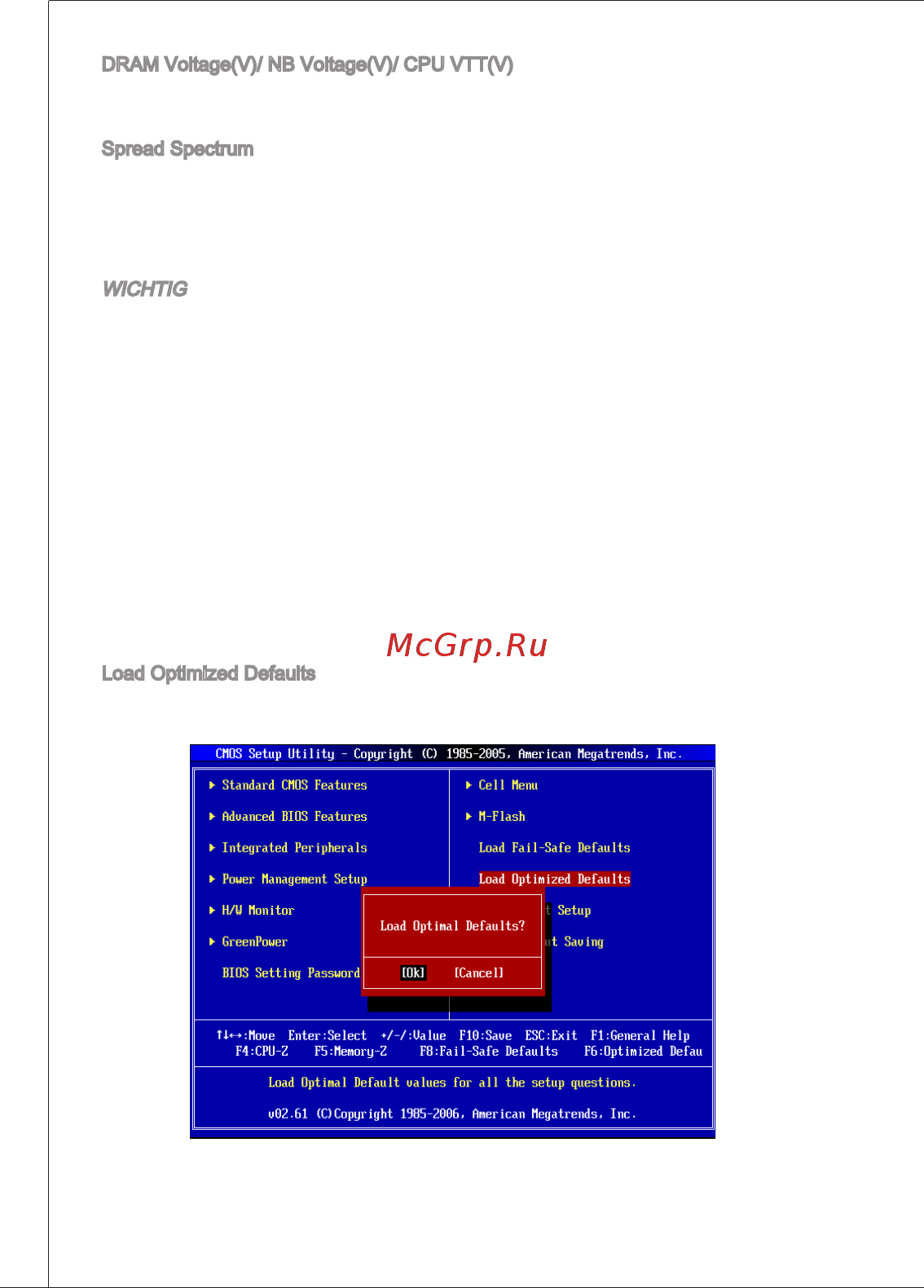 MSI G41M-E43 [80/155] Wichtig