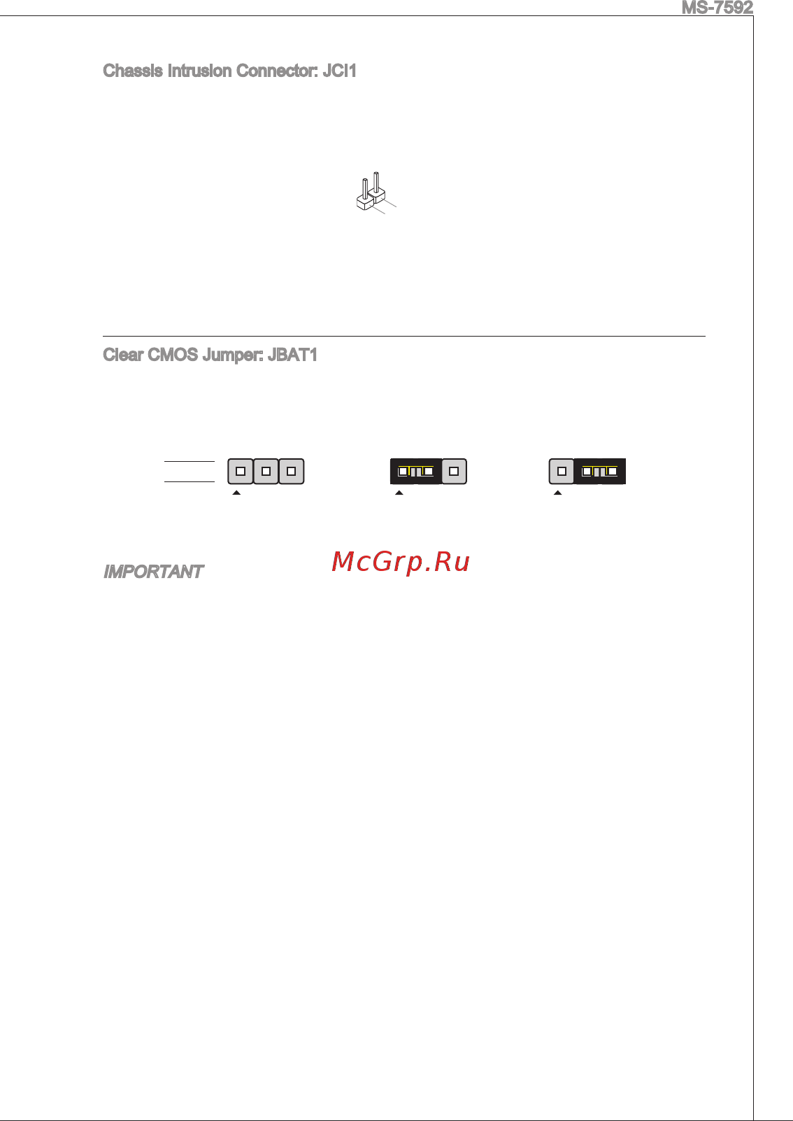 MSI G41TM-P31 [19/153] Important