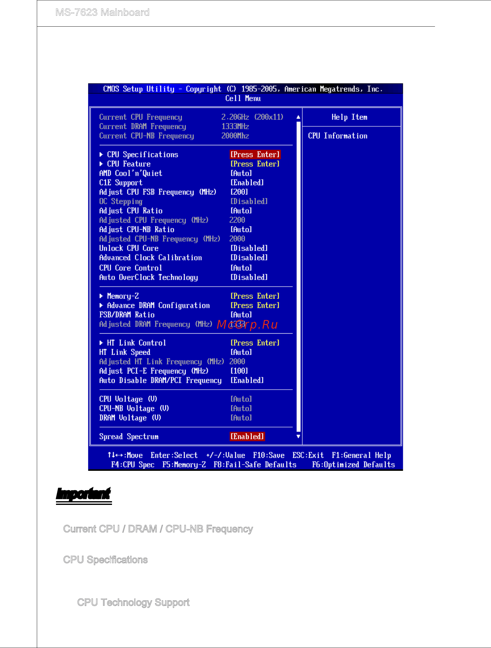 MSI 880GM-P51 [38/146] Important