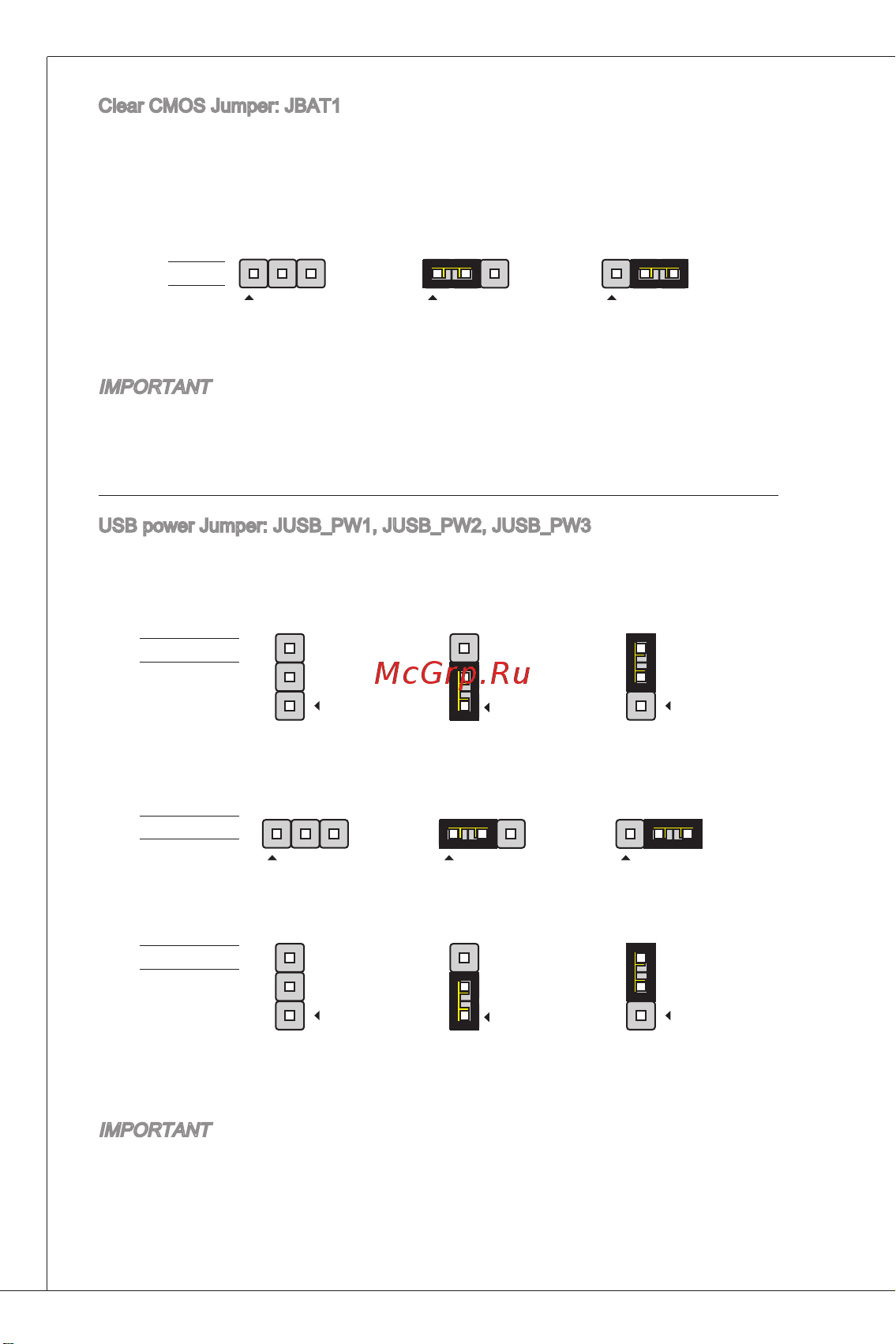 MSI 880GMA-E41 [20/169] Important