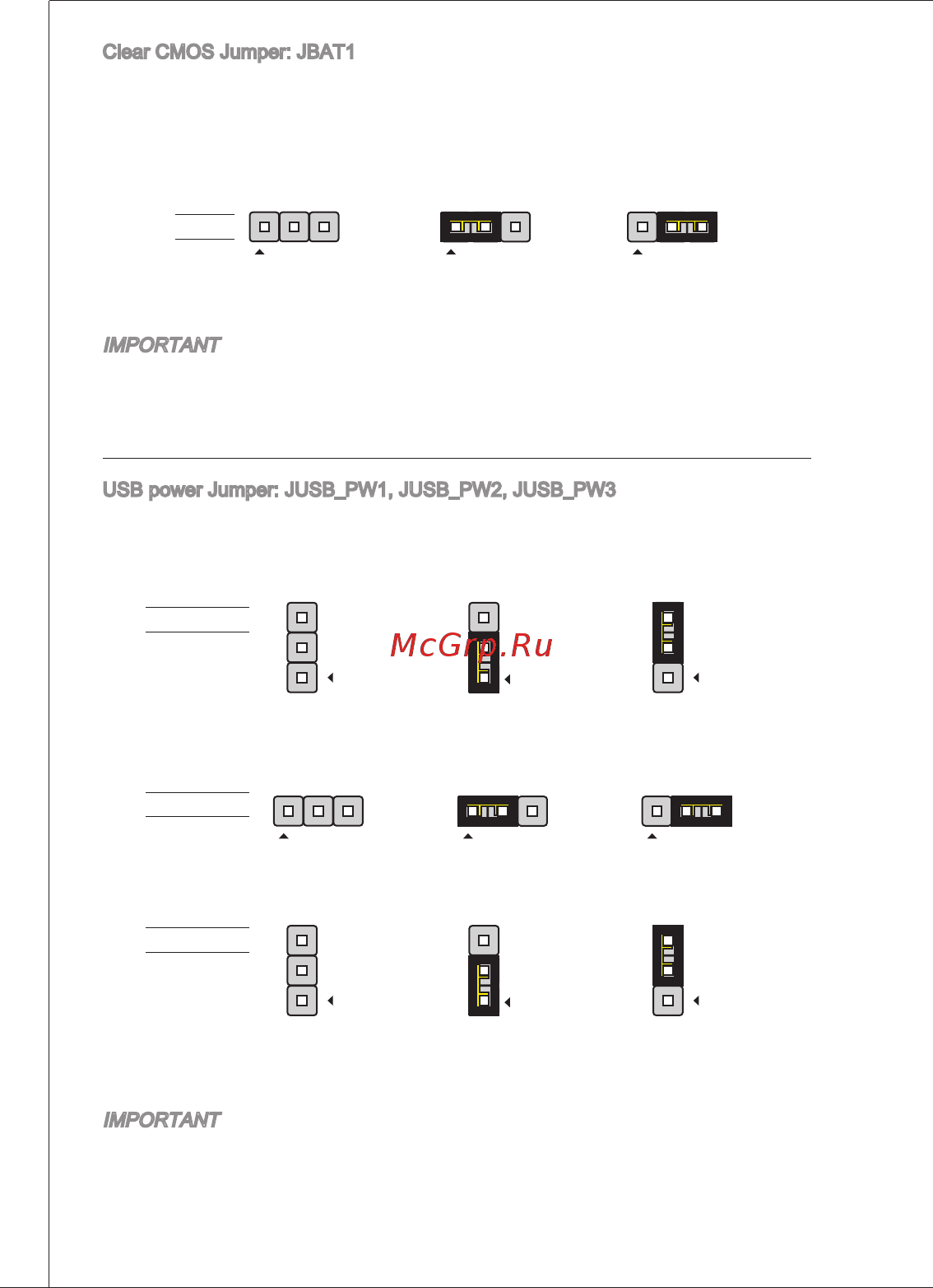 MSI 880GMS-E35 [20/169] Important