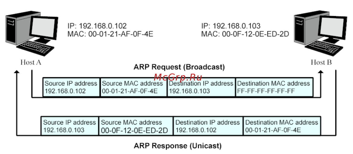 Tp-Link T2500-28TC (TL-SL5428E) [215/316] Arp scanning